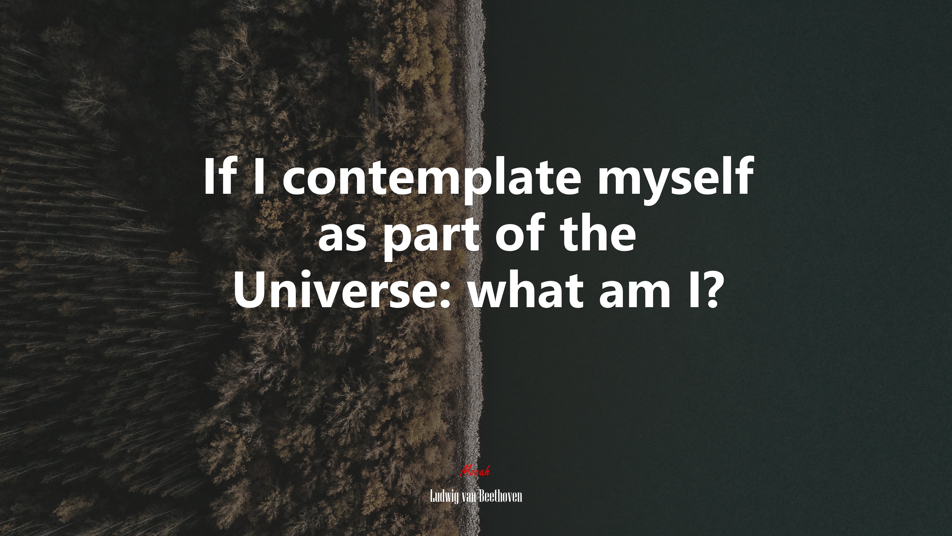 If I contemplate myself as part of the Universe: what am I? | Ludwig van Beethoven quote HD Wallpaper