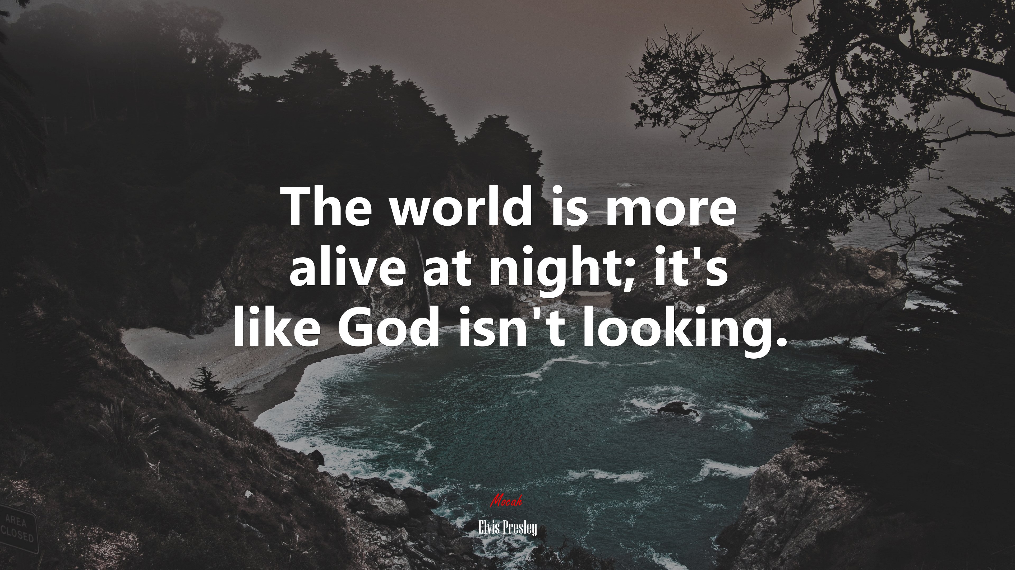 The world is more alive at night; it’s like God isn’t looking. | Elvis Presley quote HD Wallpaper