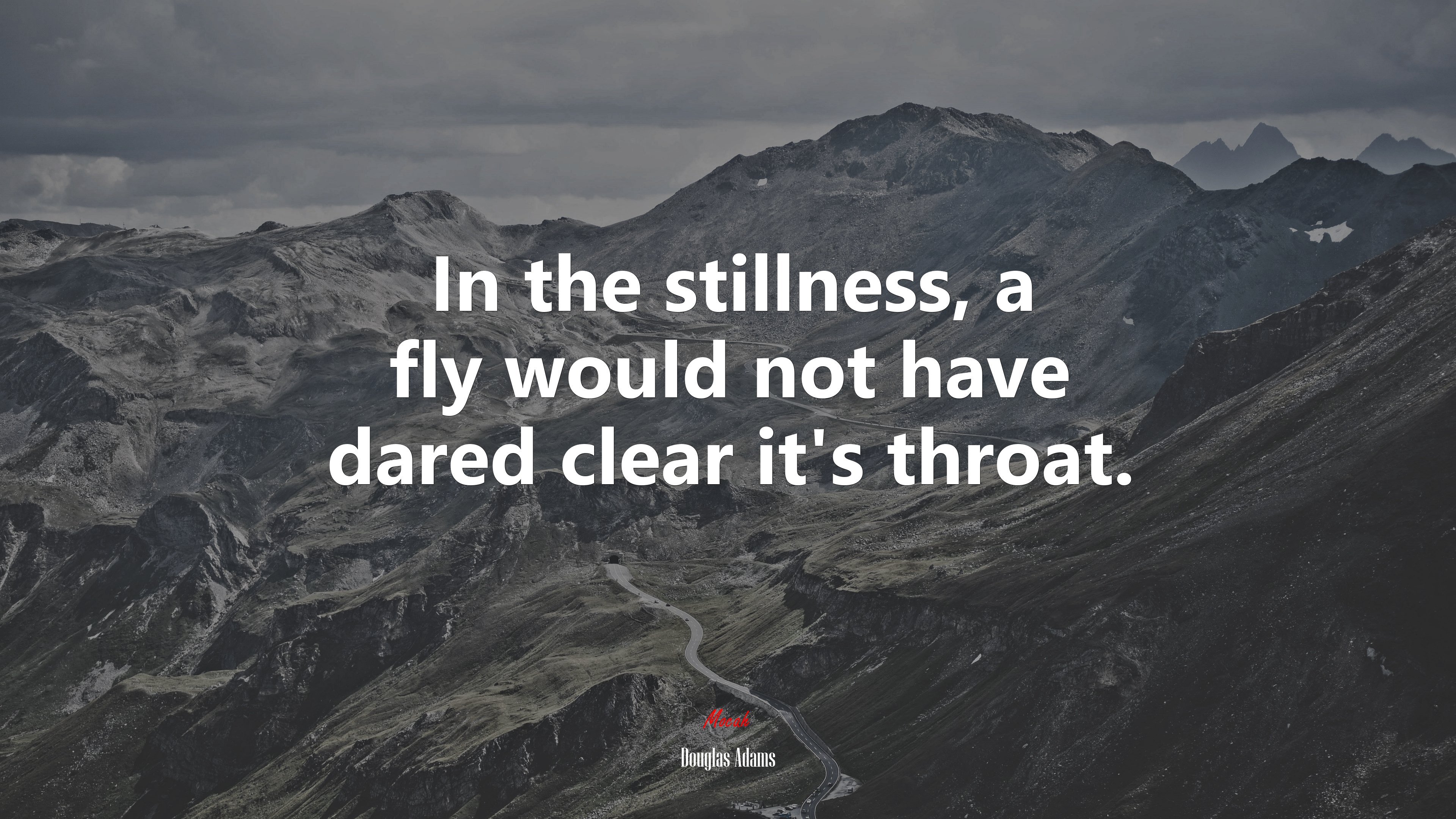 In the stillness, a fly would not have dared clear it’s throat. | Douglas Adams quote HD Wallpaper