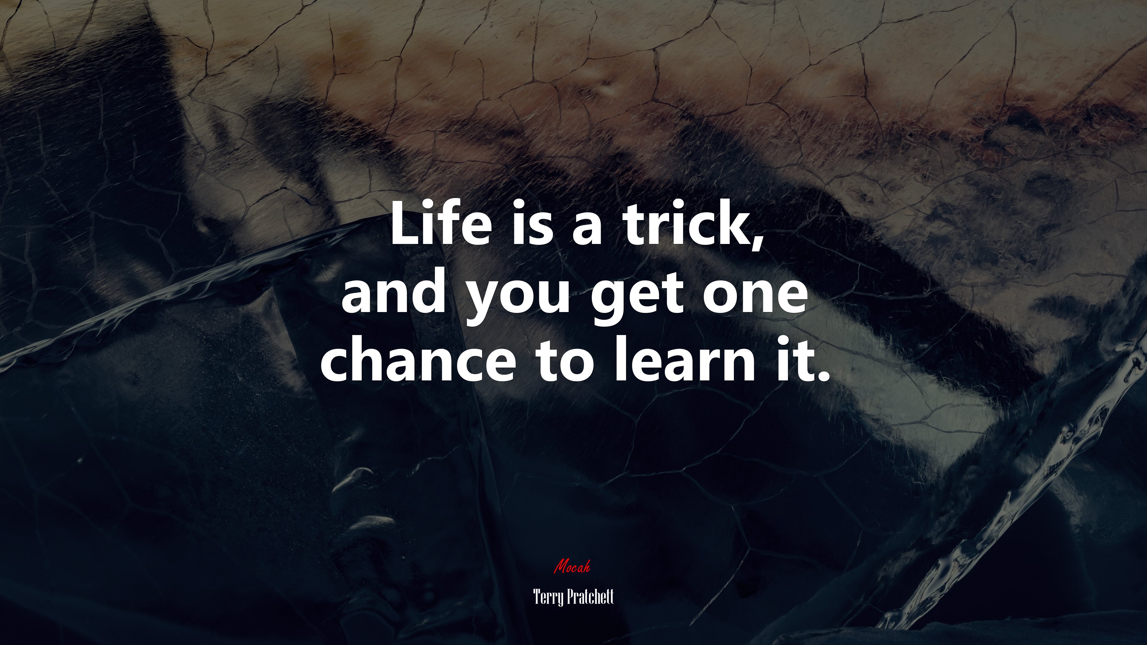 Life is a trick, and you get one chance to learn it. | Terry Pratchett quote HD Wallpaper