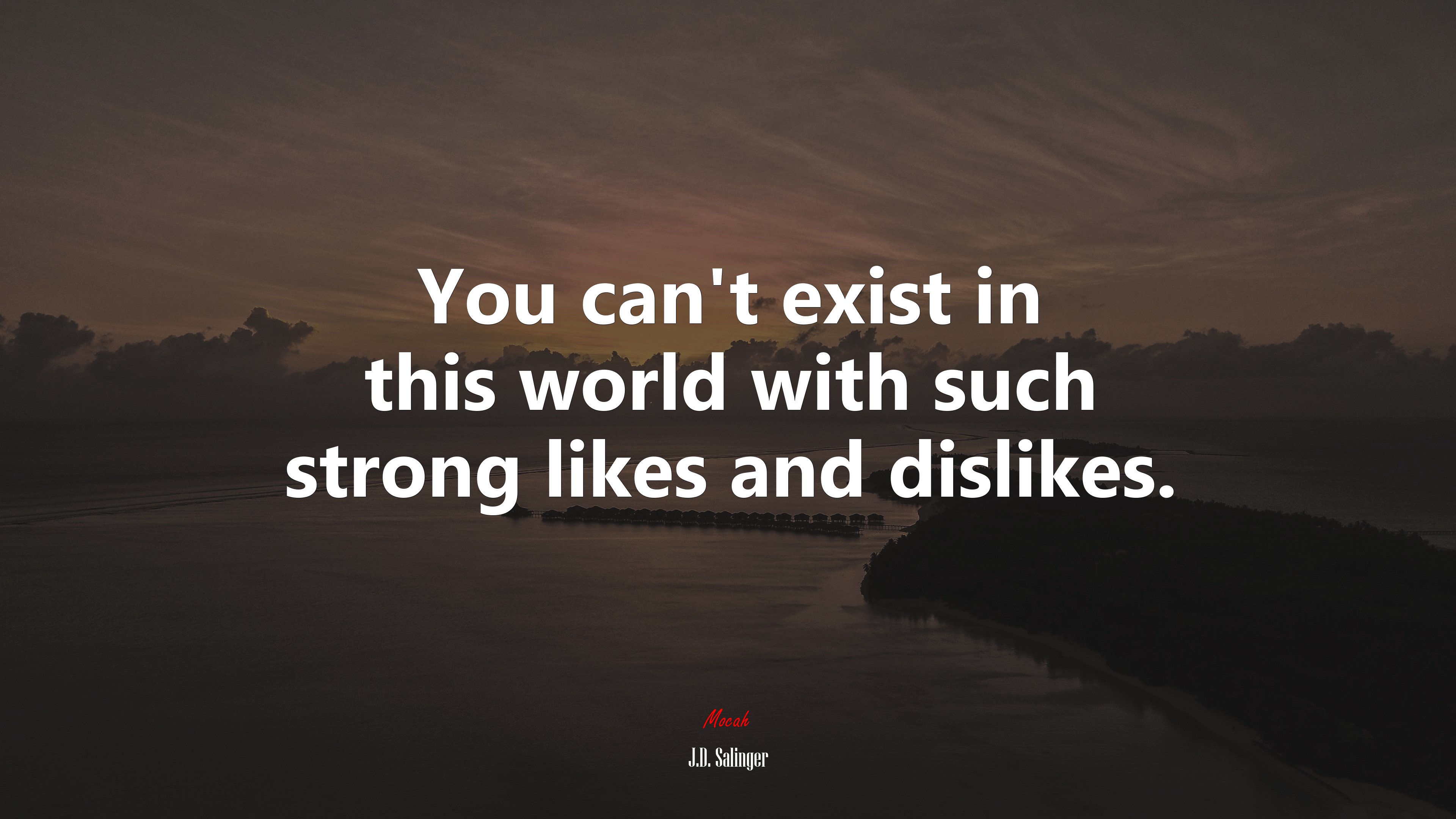 You can’t exist in this world with such strong likes and dislikes. | J.D. Salinger quote HD Wallpaper