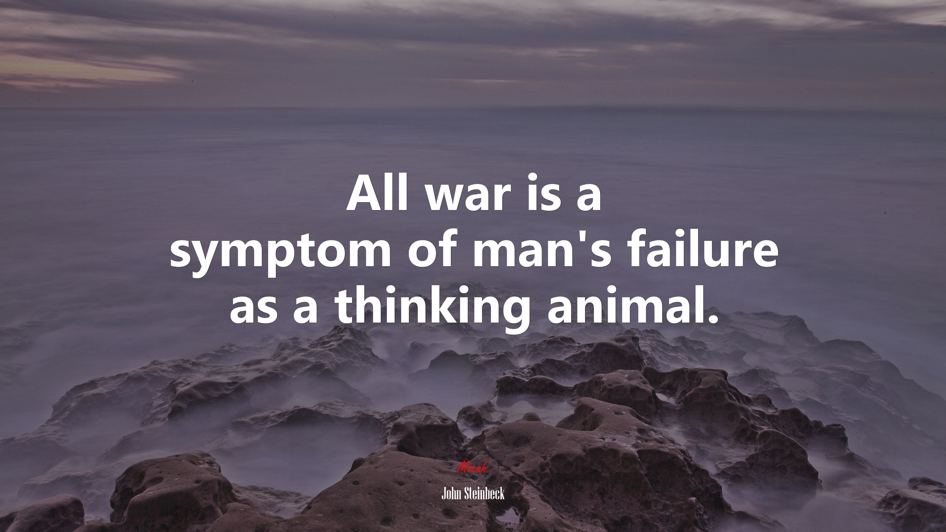 All war is a symptom of man’s failure as a thinking animal. | John Steinbeck quote HD Wallpaper
