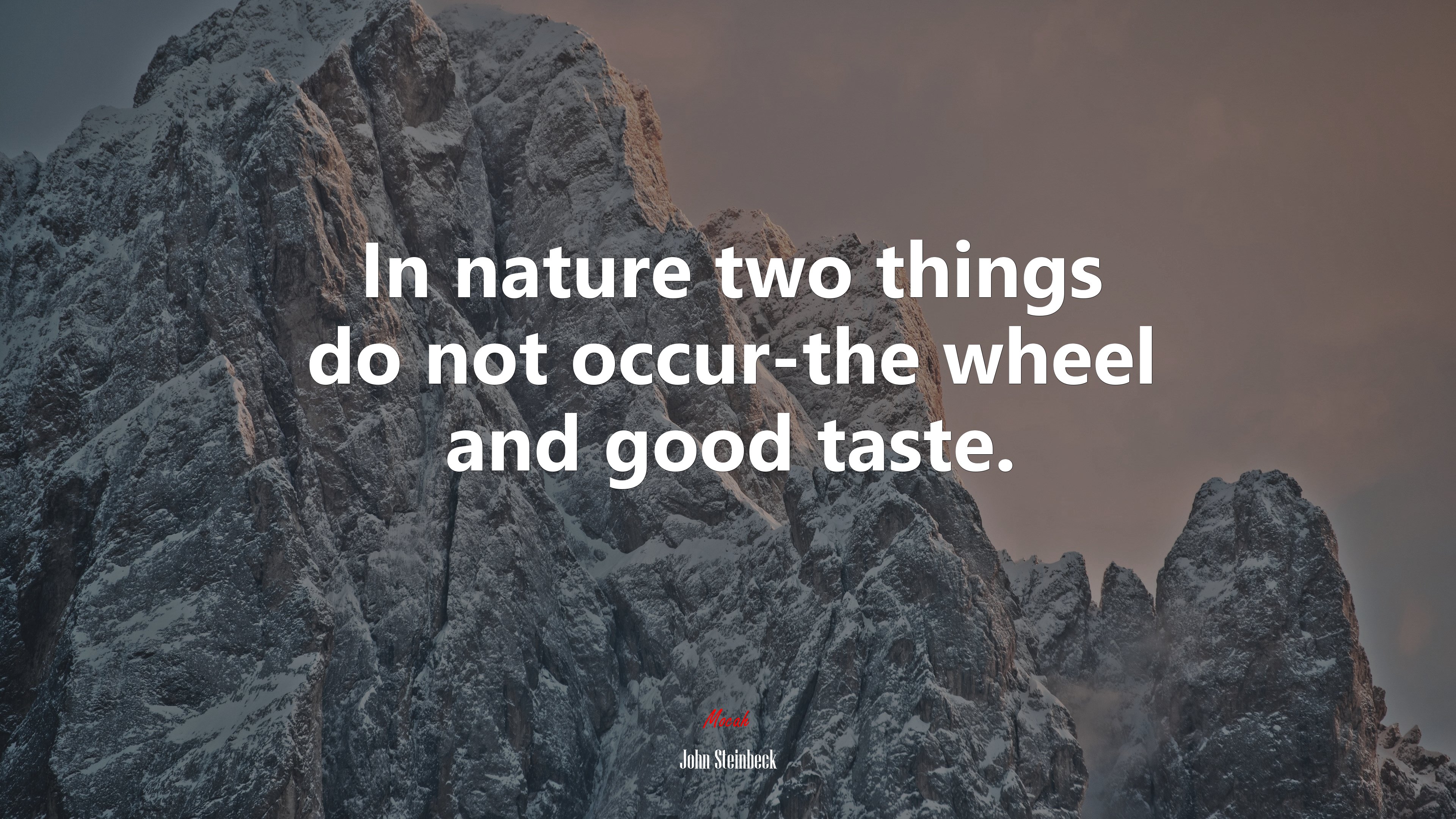 In nature two things do not occur-the wheel and good taste. | John Steinbeck quote HD Wallpaper