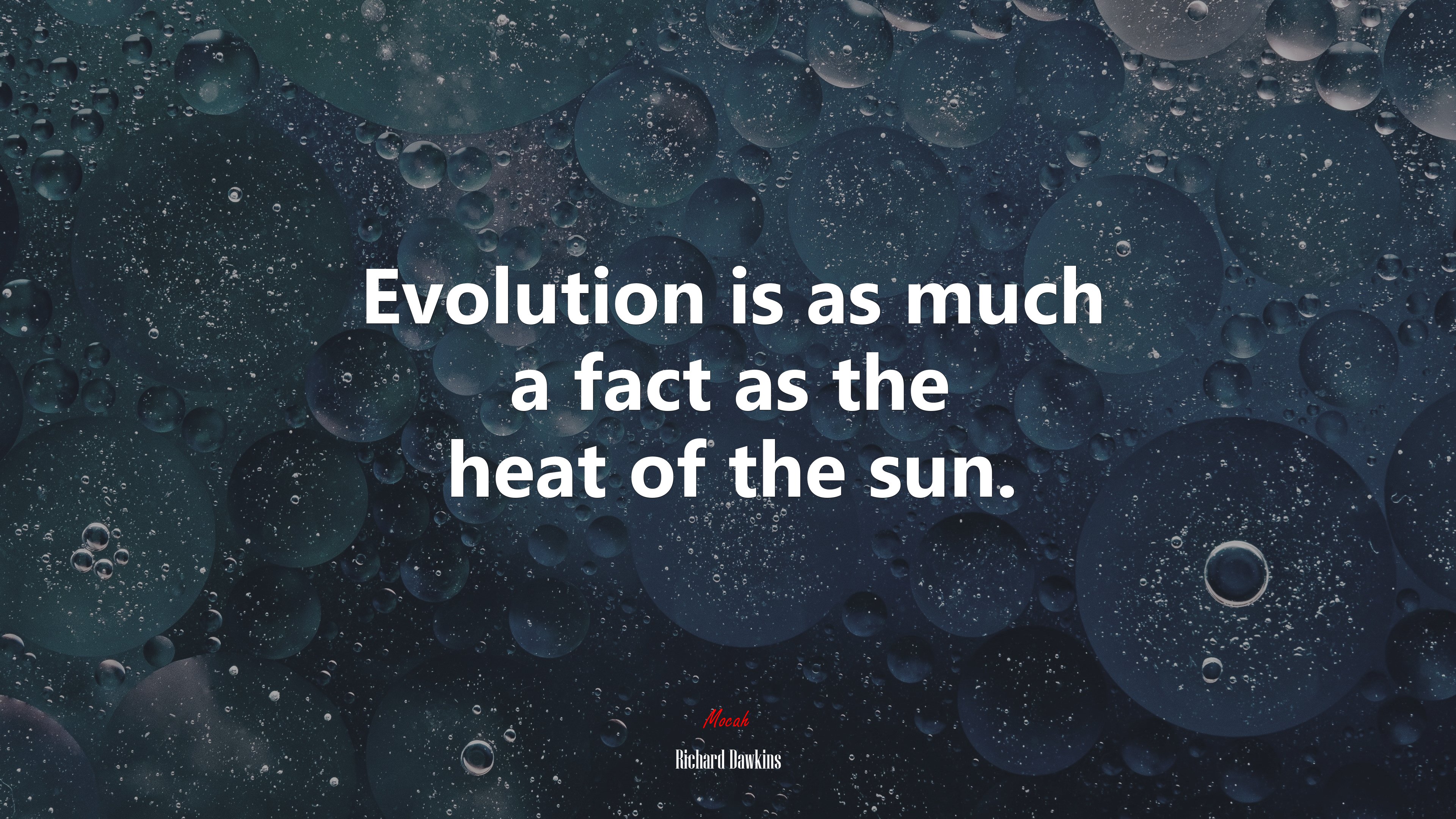 Evolution is as much a fact as the heat of the sun. | Richard Dawkins quote HD Wallpaper