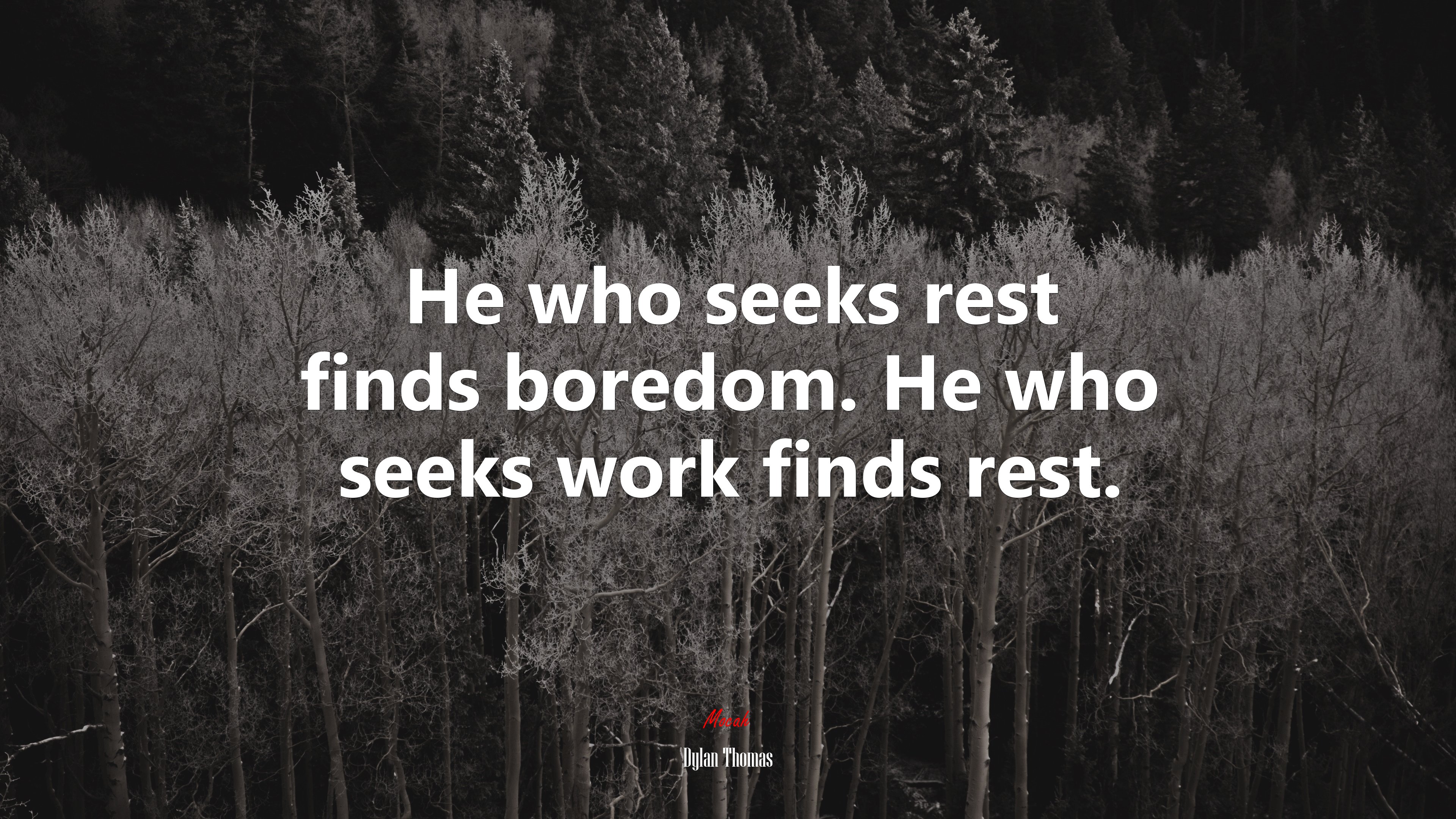 He who seeks rest finds boredom. He who seeks work finds rest. | Dylan Thomas quote HD Wallpaper