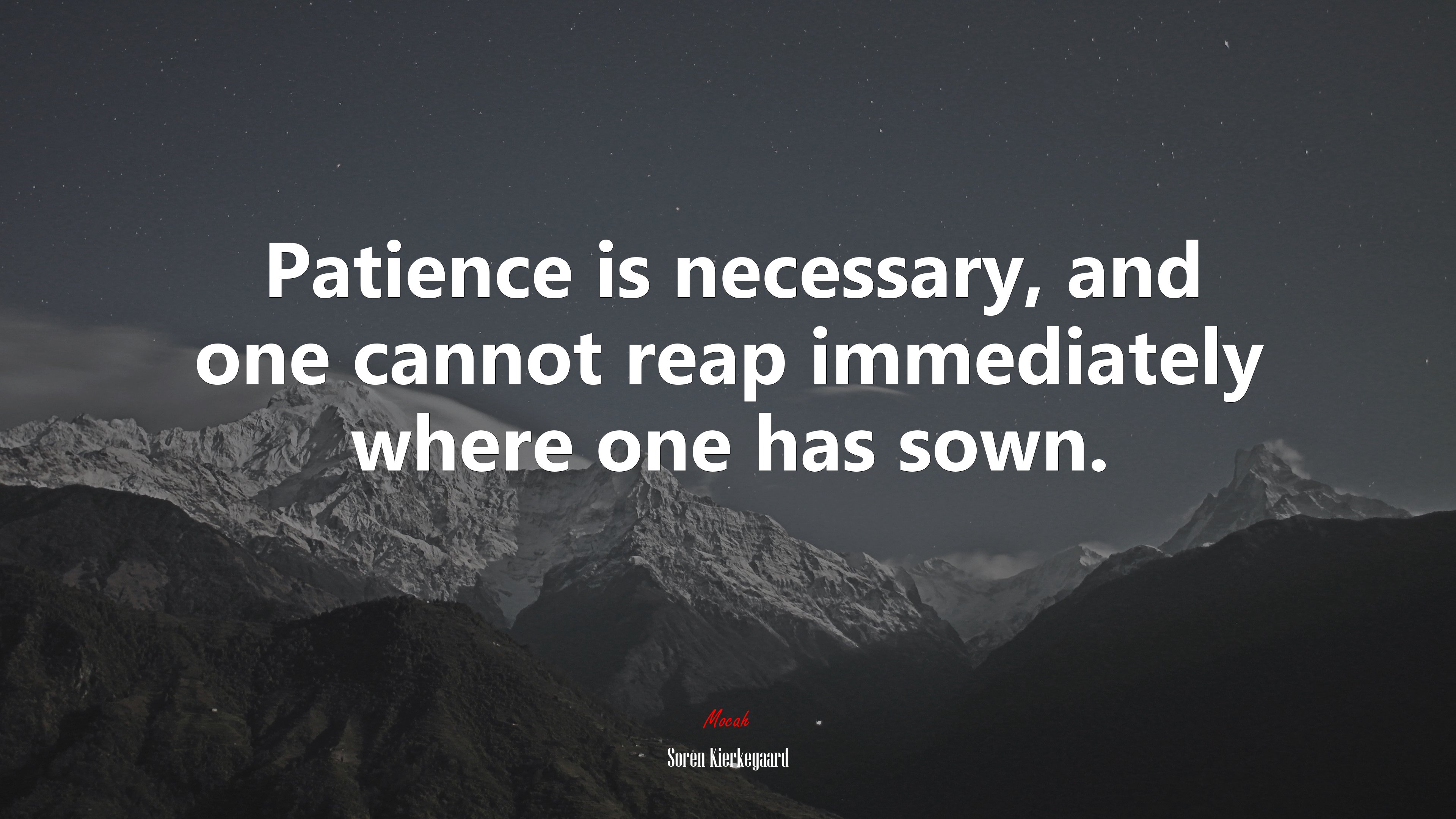 Patience is necessary, and one cannot reap immediately where one has sown. | Soren Kierkegaard quote HD Wallpaper