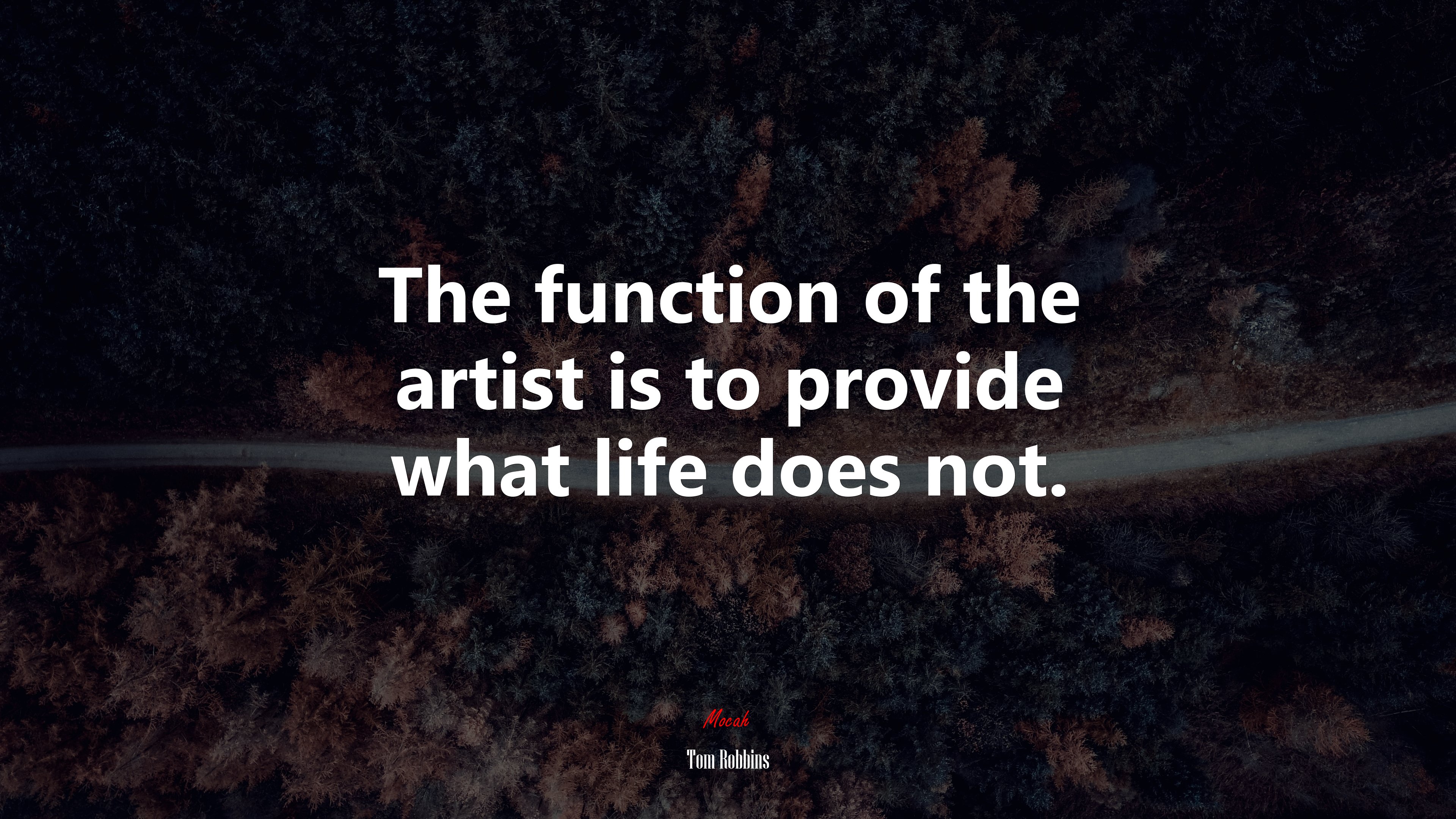 The function of the artist is to provide what life does not. | Tom Robbins quote HD Wallpaper