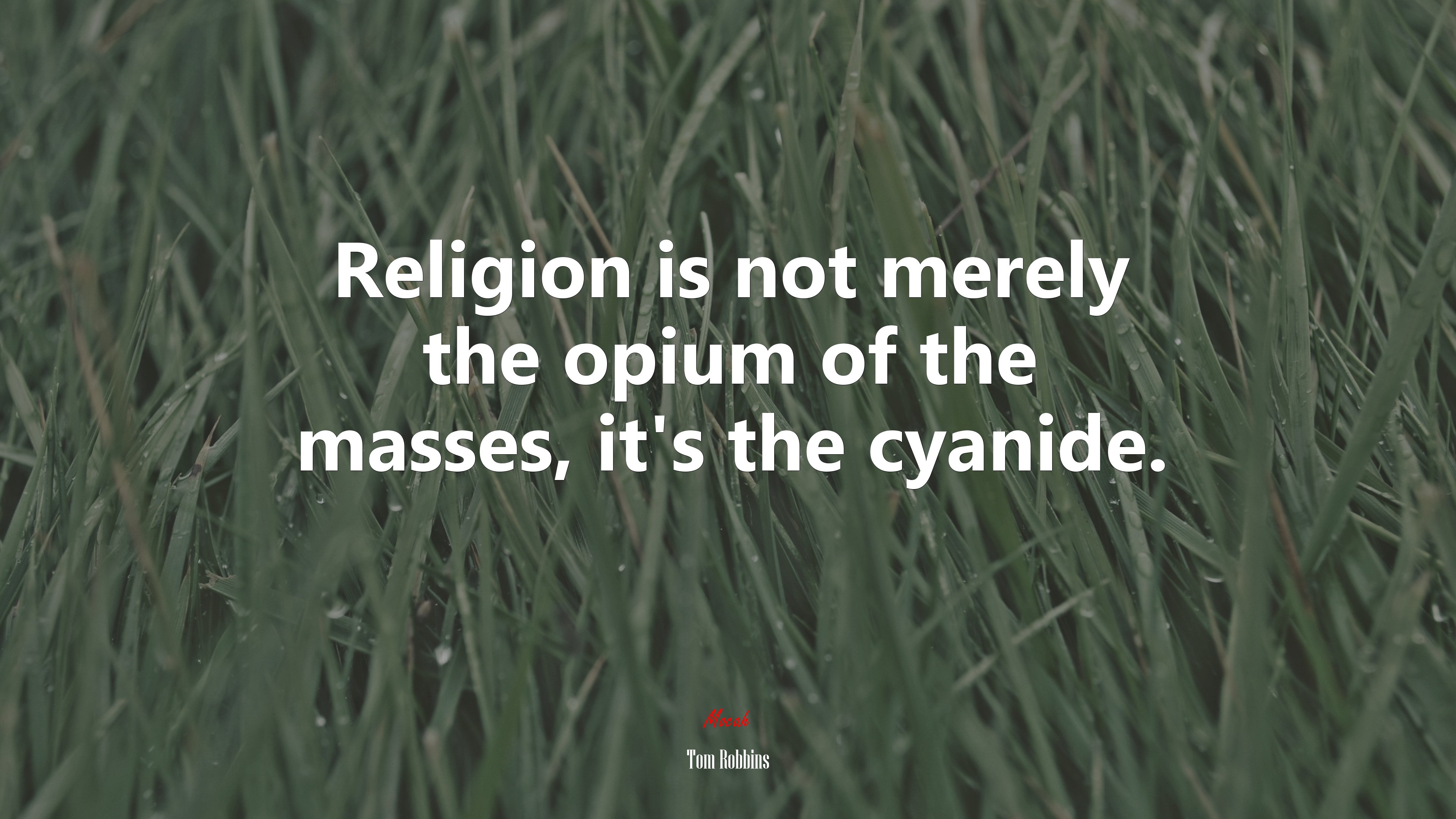 Religion is not merely the opium of the masses, it’s the cyanide. | Tom Robbins quote HD Wallpaper