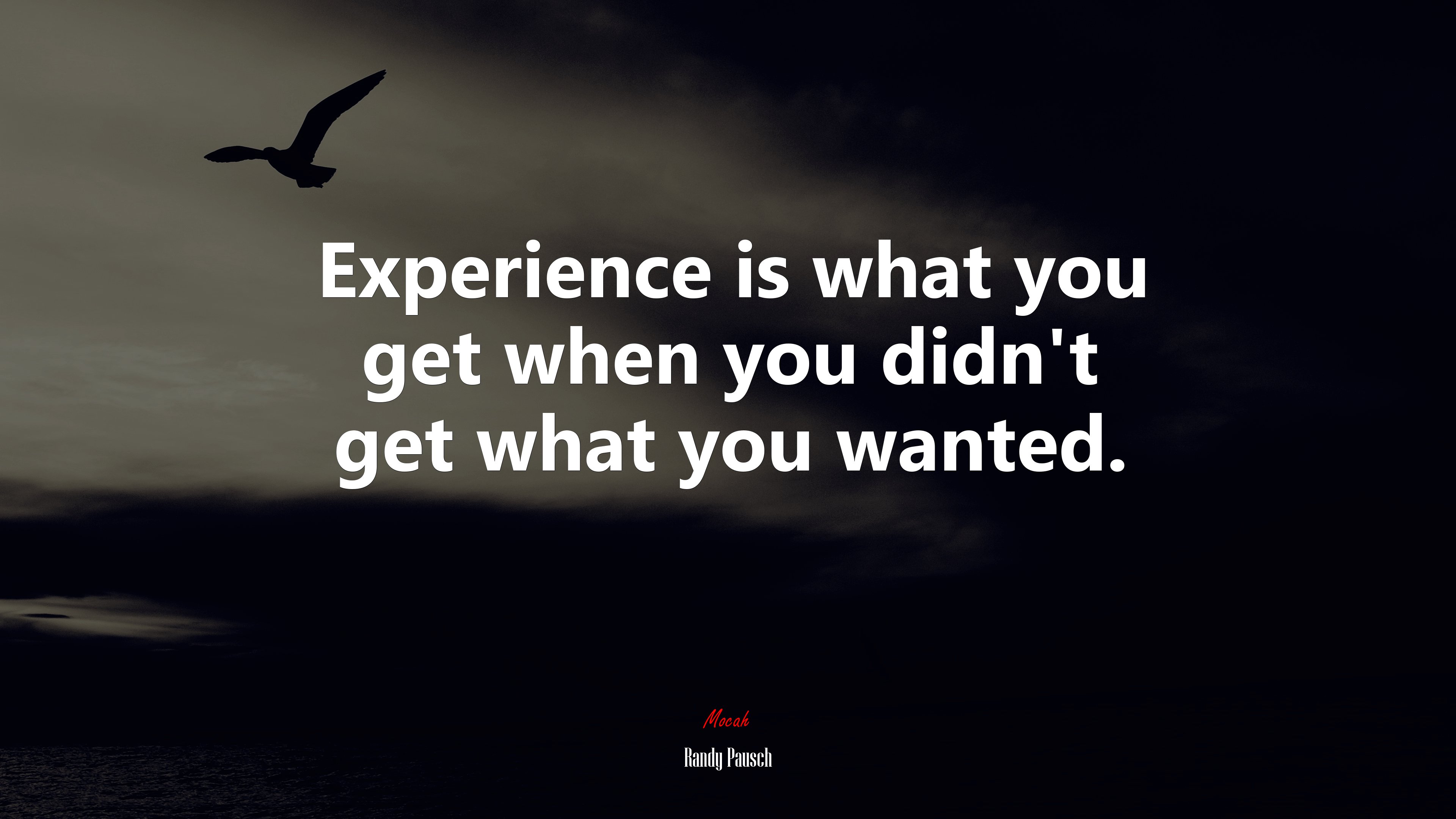 Experience is what you get when you didn’t get what you wanted. | Randy Pausch quote HD Wallpaper