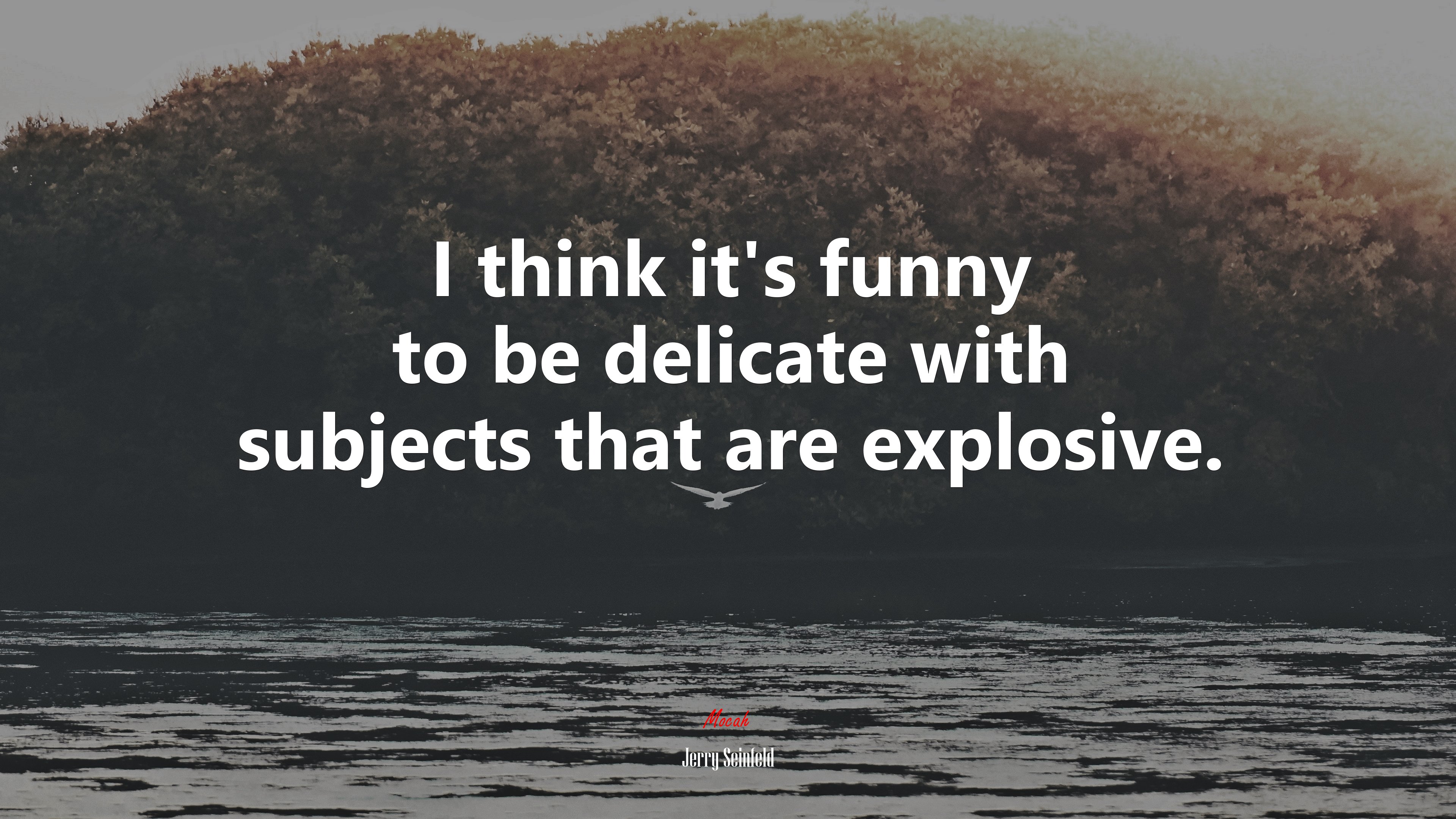I think it’s funny to be delicate with subjects that are explosive. | Jerry Seinfeld quote HD Wallpaper