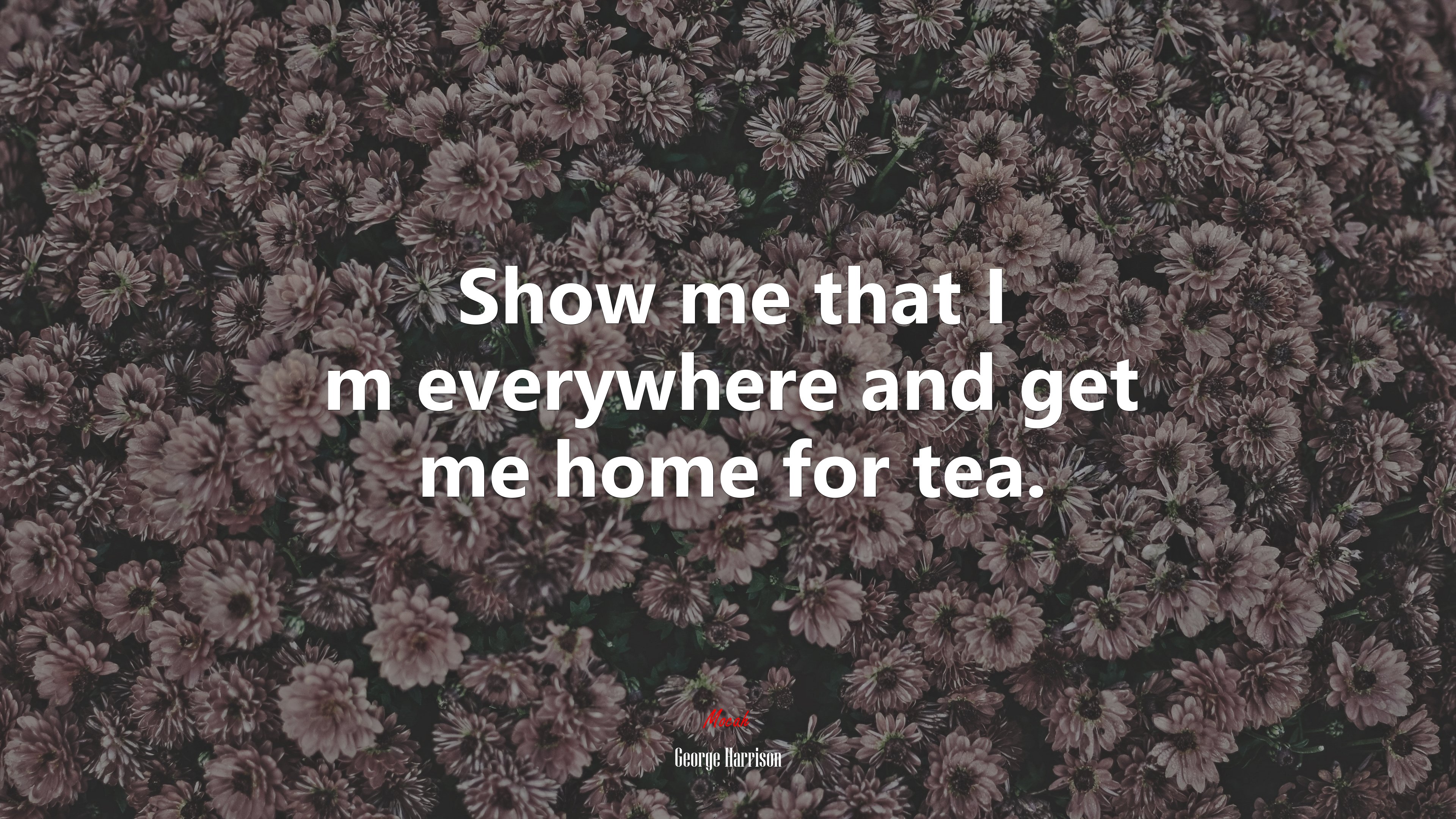 Show me that I m everywhere and get me home for tea. | George Harrison quote HD Wallpaper