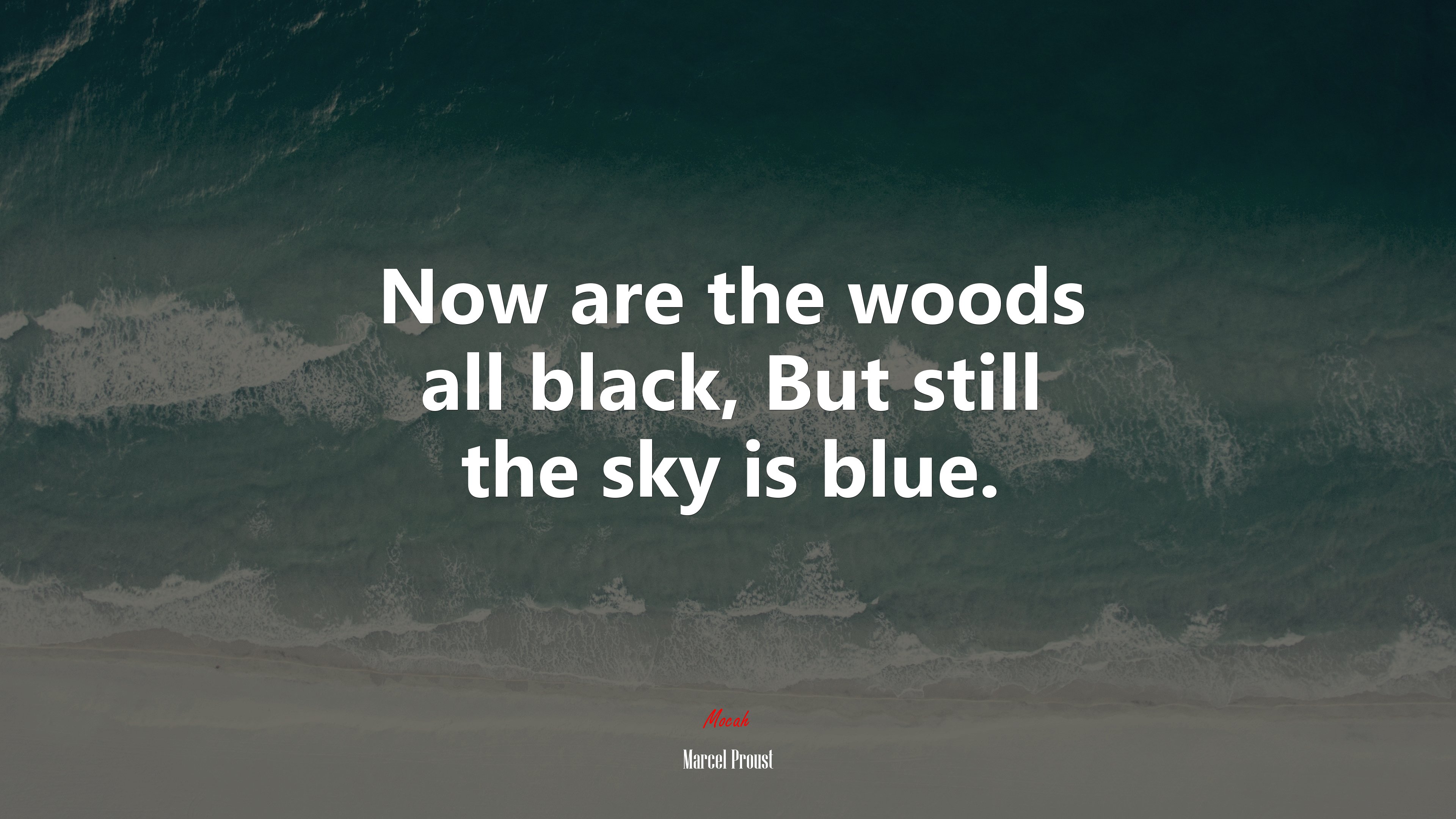 Now are the woods all black, But still the sky is blue. | Marcel Proust quote HD Wallpaper
