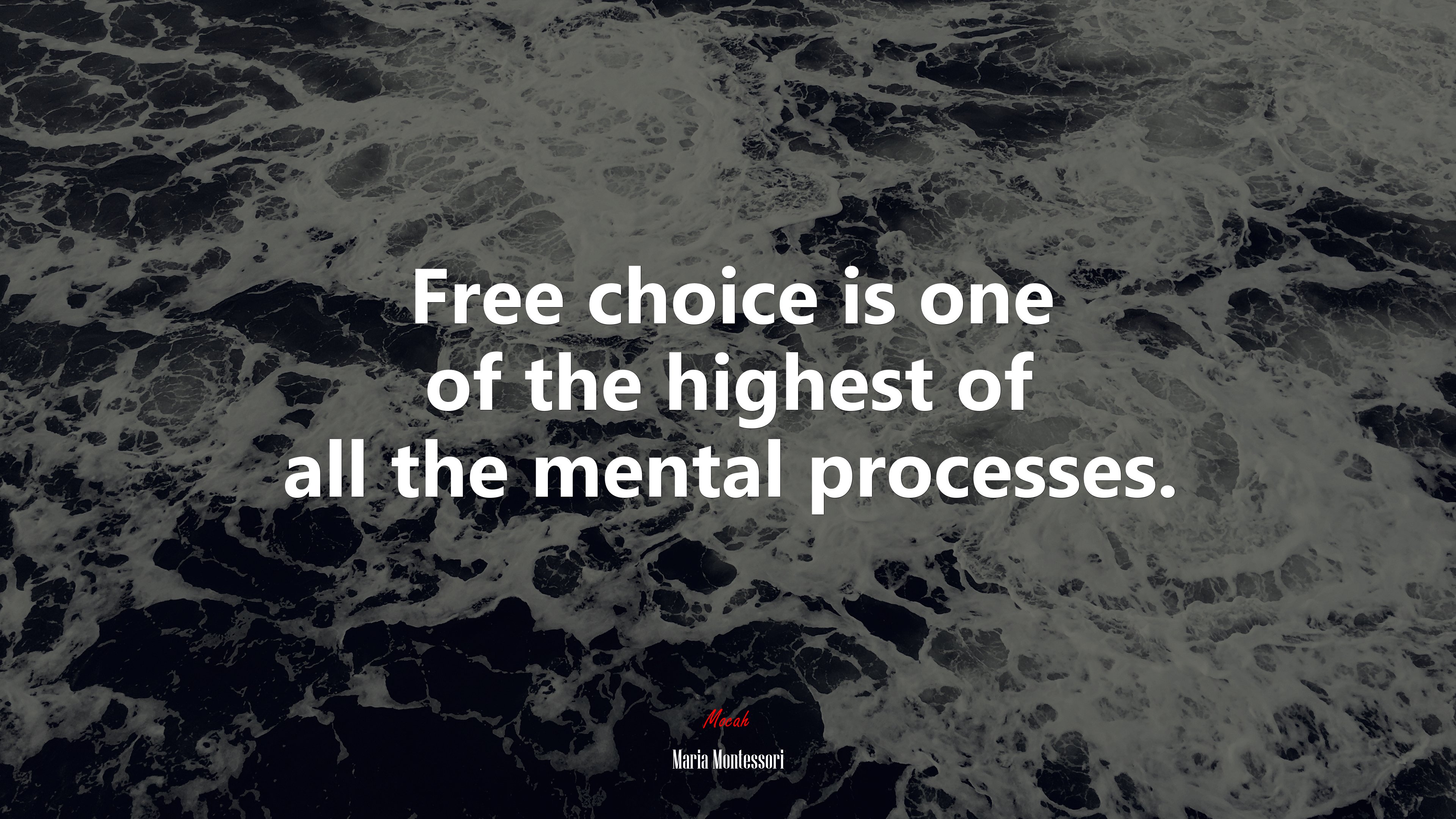 Free choice is one of the highest of all the mental processes. | Maria Montessori quote HD Wallpaper