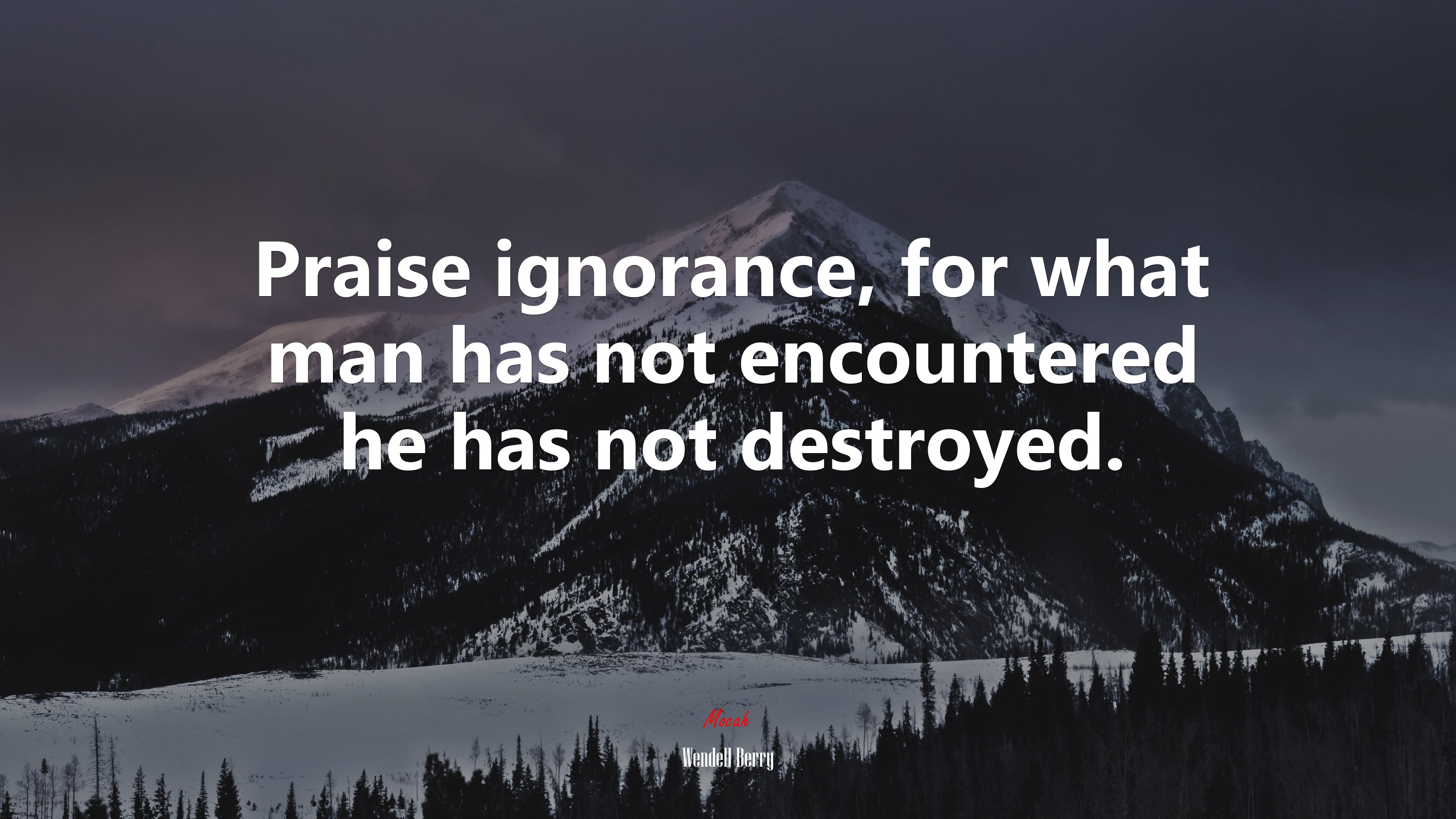 Praise ignorance, for what man has not encountered he has not destroyed. | Wendell Berry quote HD Wallpaper