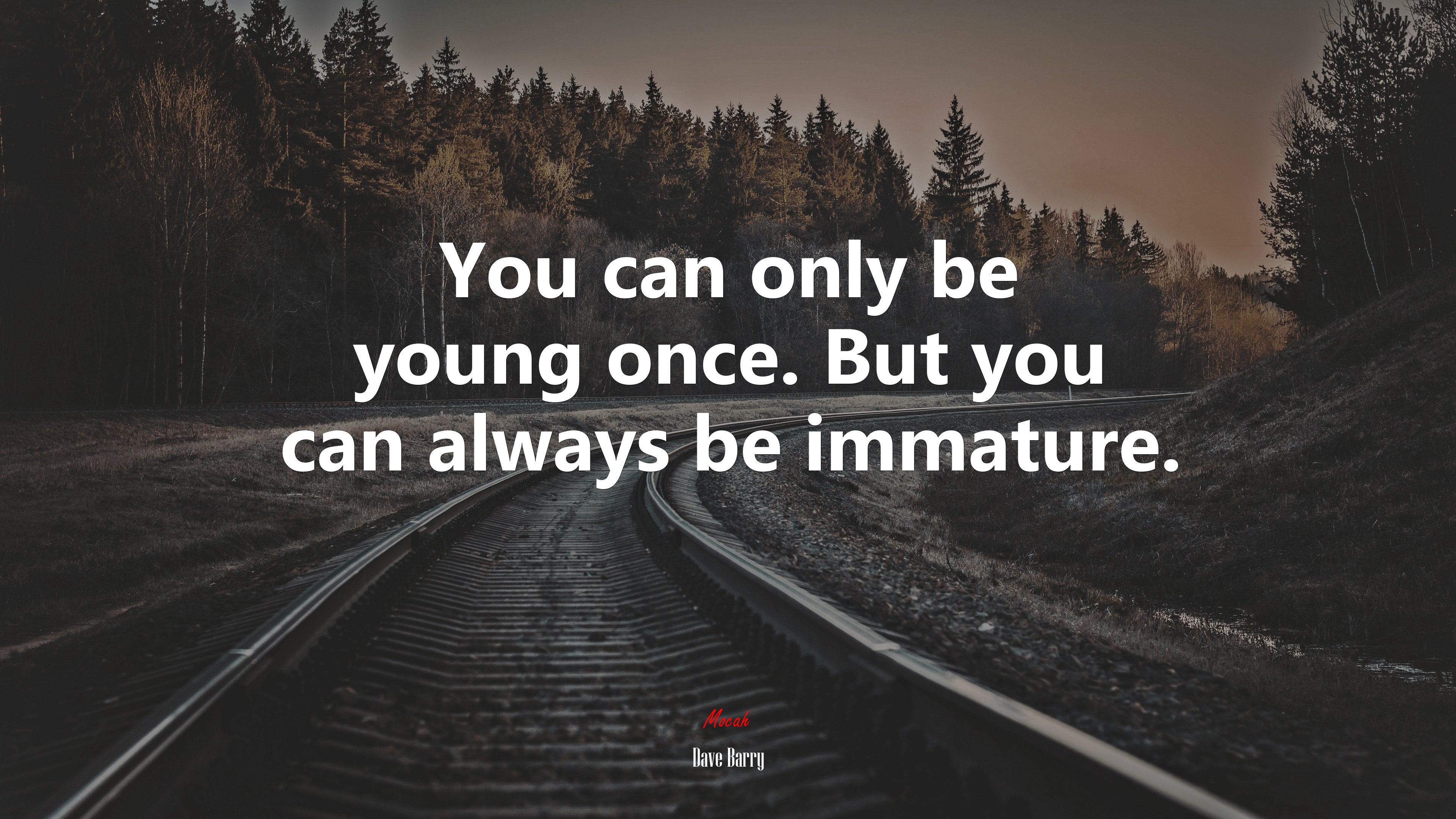 You can only be young once. But you can always be immature. | Dave Barry quote HD Wallpaper