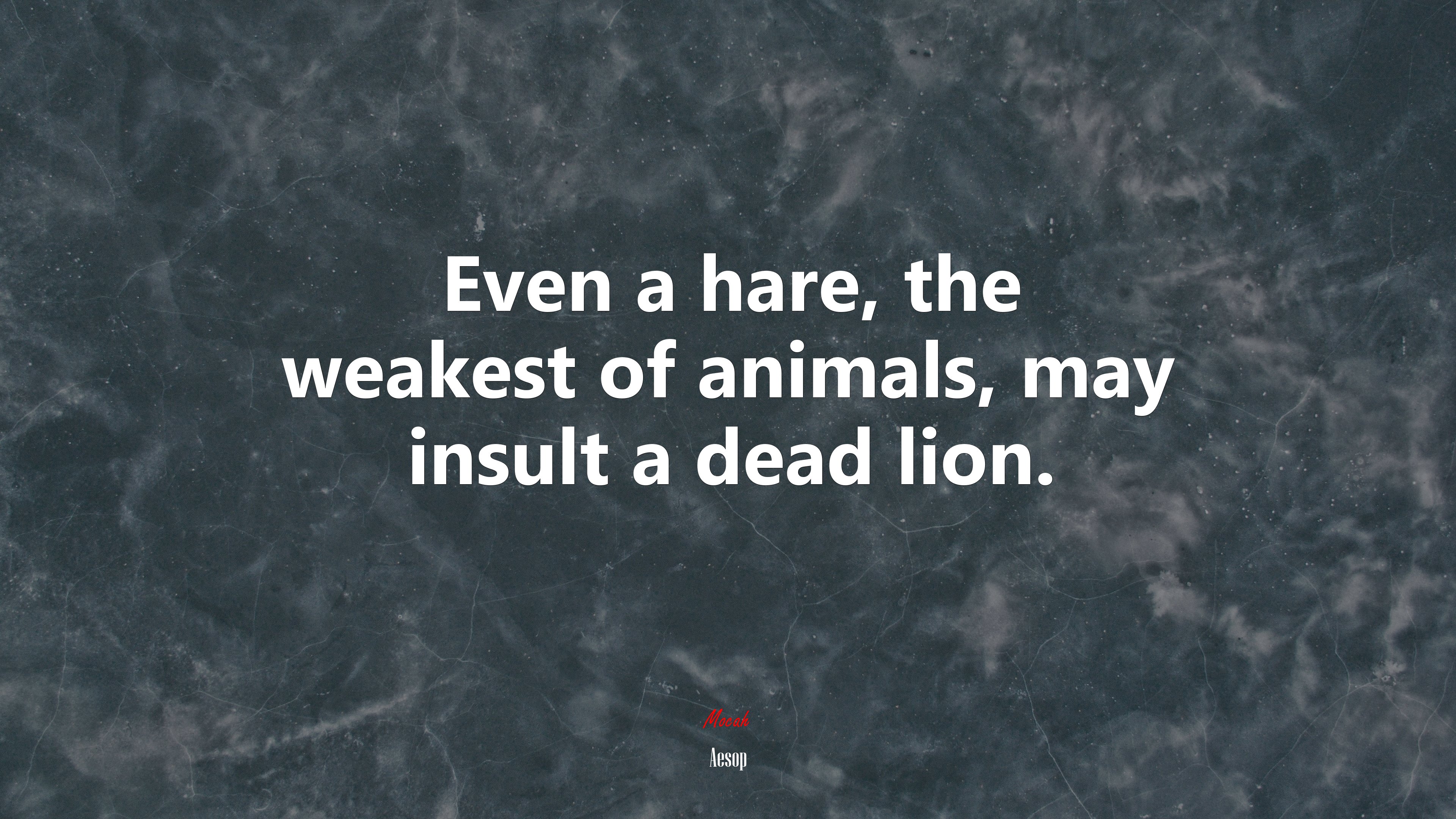 Even a hare, the weakest of animals, may insult a dead lion. | Aesop quote HD Wallpaper