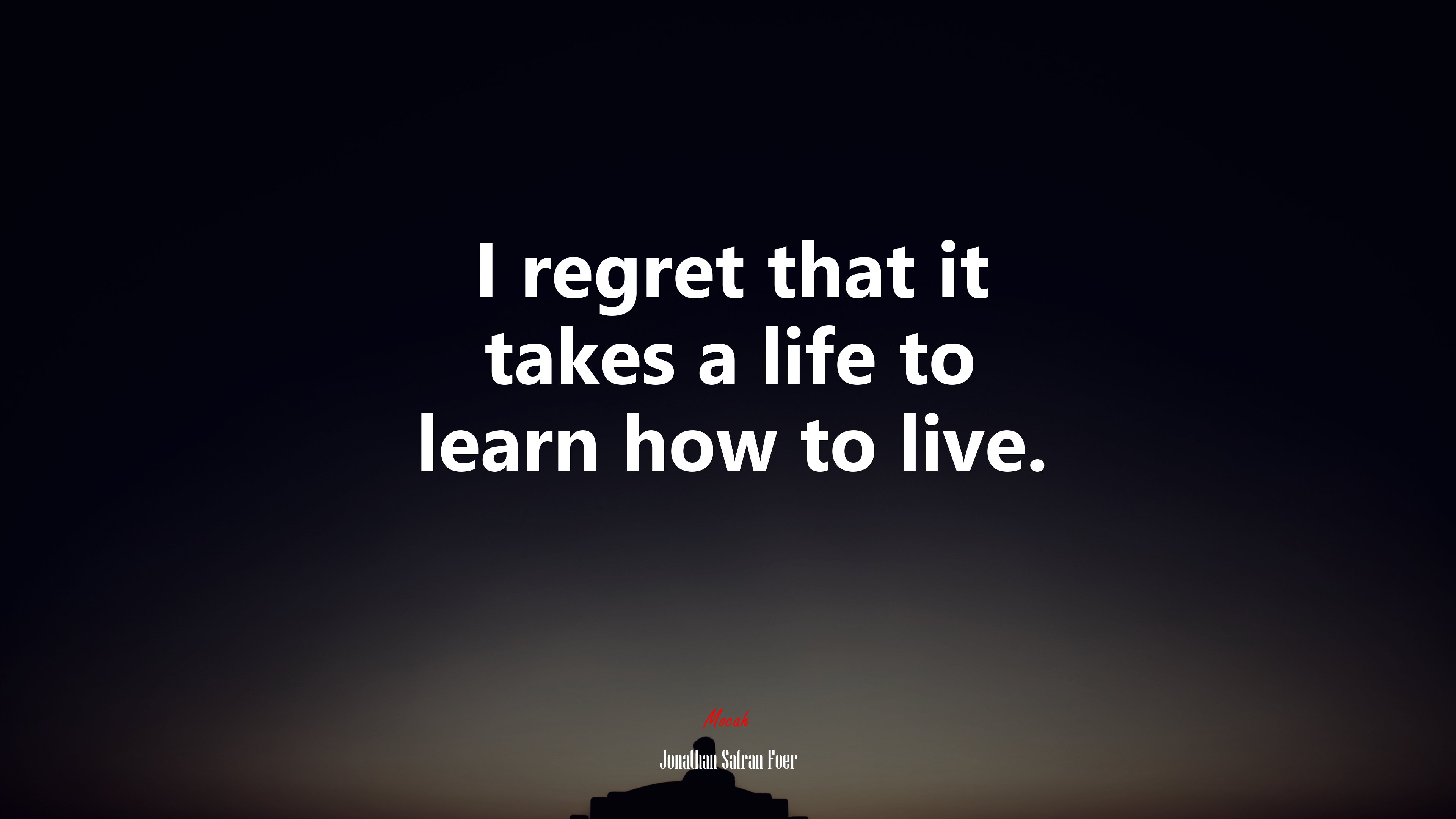 I regret that it takes a life to learn how to live. | Jonathan Safran Foer quote HD Wallpaper