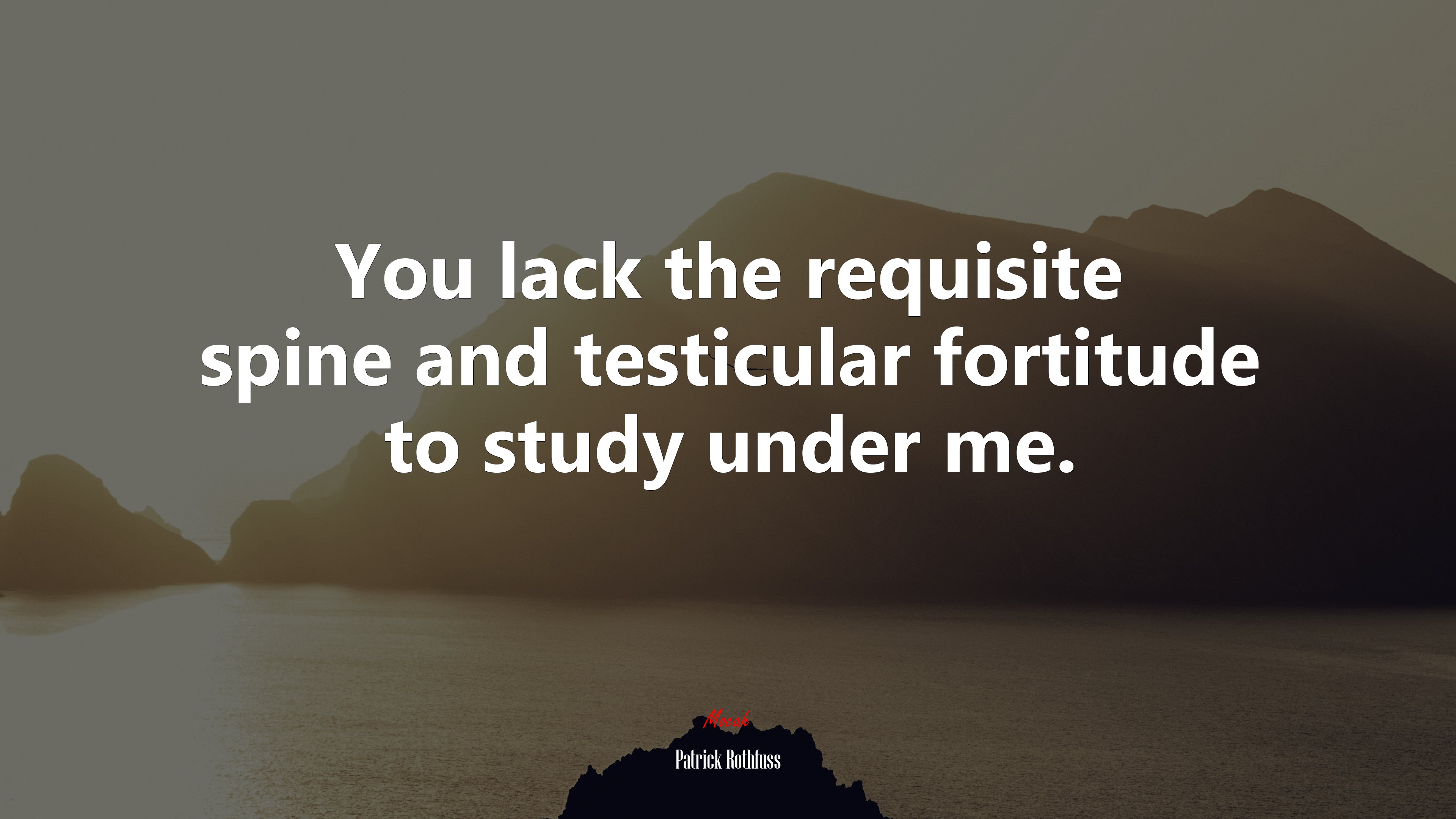 You lack the requisite spine and testicular fortitude to study under me. | Patrick Rothfuss quote HD Wallpaper