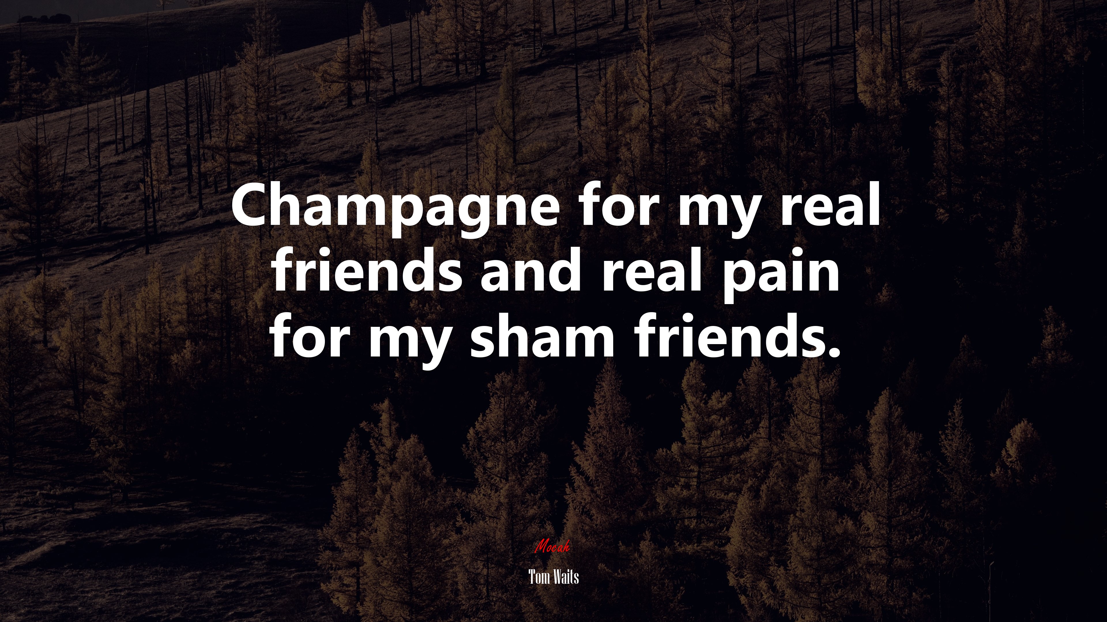 Champagne for my real friends and real pain for my sham friends. | Tom Waits quote HD Wallpaper