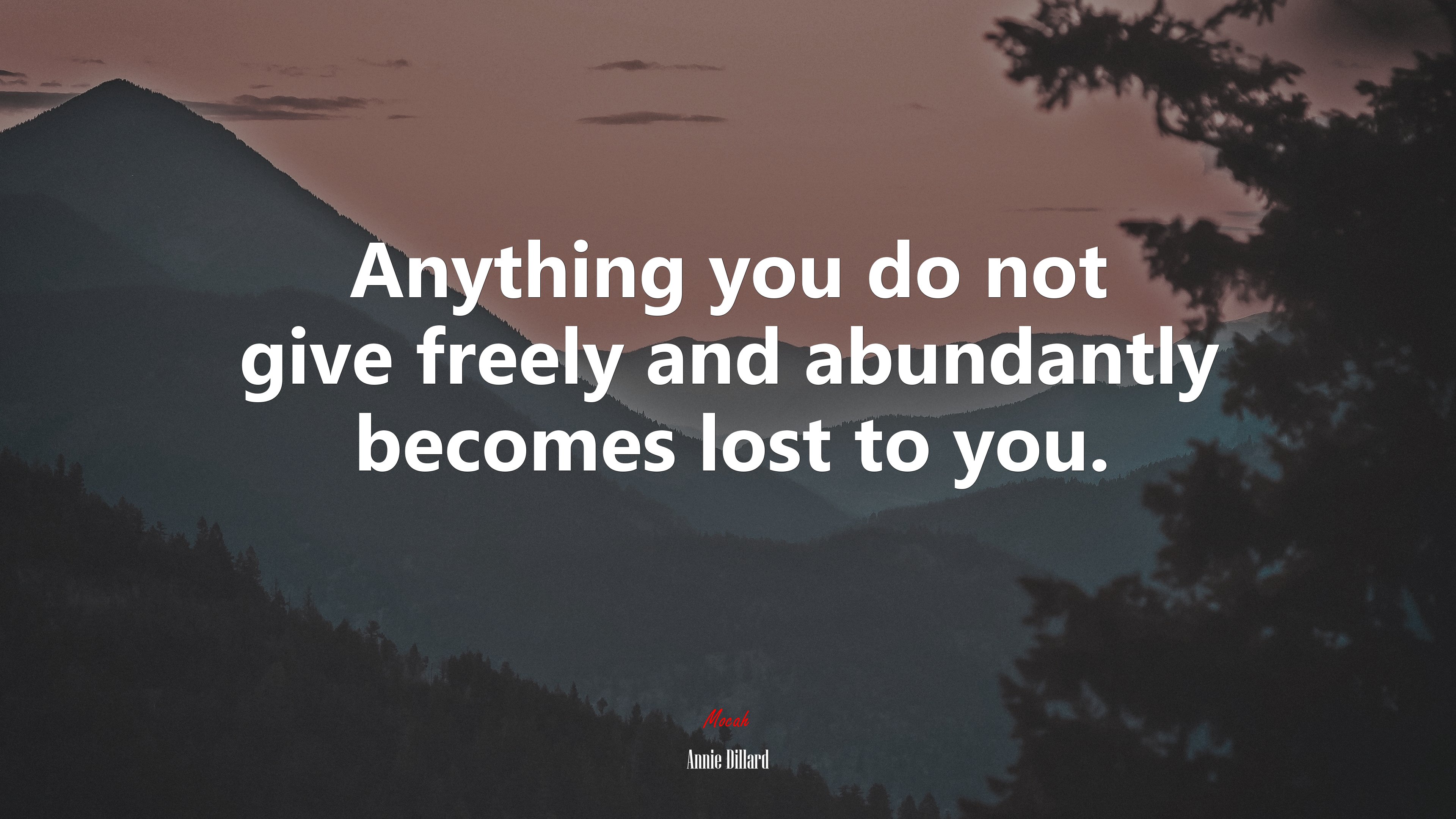 Anything you do not give freely and abundantly becomes lost to you. | Annie Dillard quote HD Wallpaper
