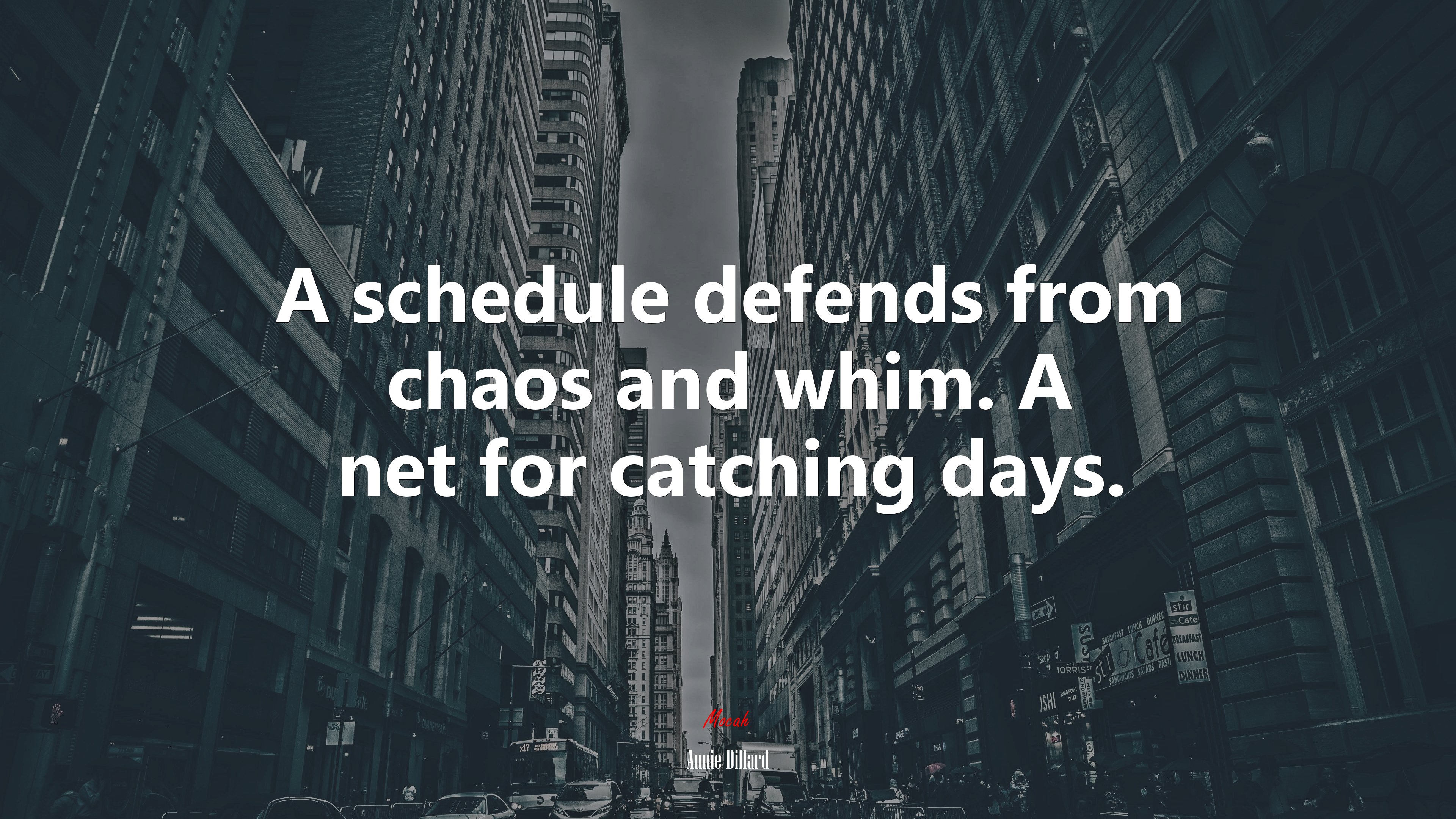 A schedule defends from chaos and whim. A net for catching days. | Annie Dillard quote HD Wallpaper