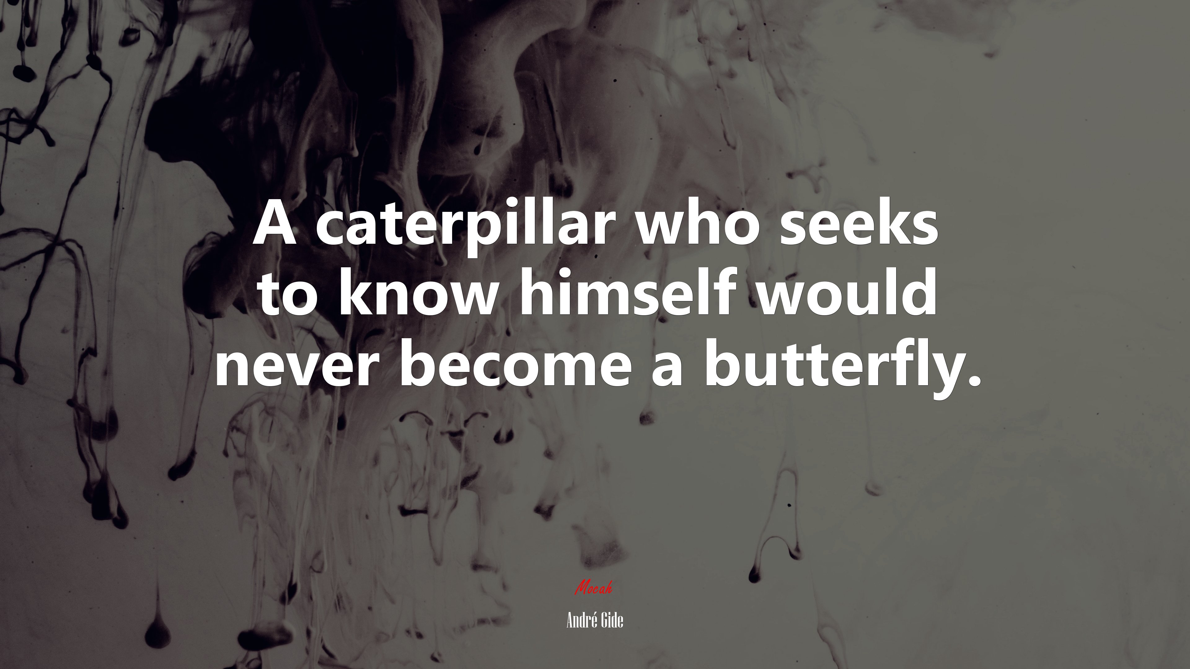 A caterpillar who seeks to know himself would never become a butterfly. | André Gide quote HD Wallpaper
