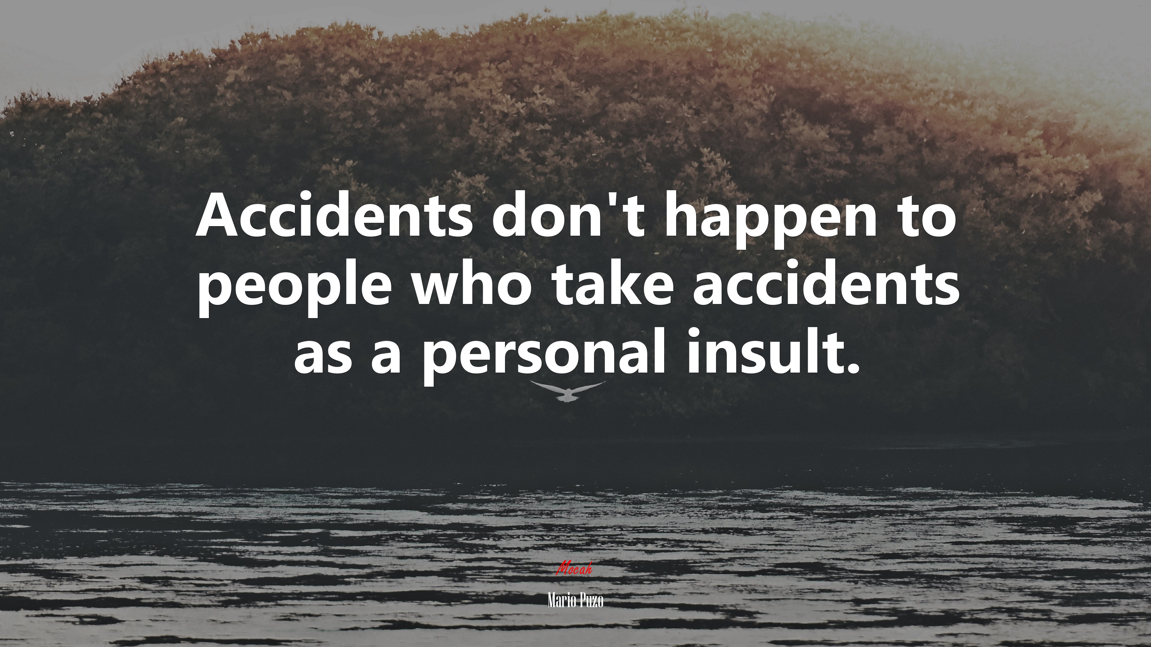 Accidents don’t happen to people who take accidents as a personal insult. | Mario Puzo quote HD Wallpaper