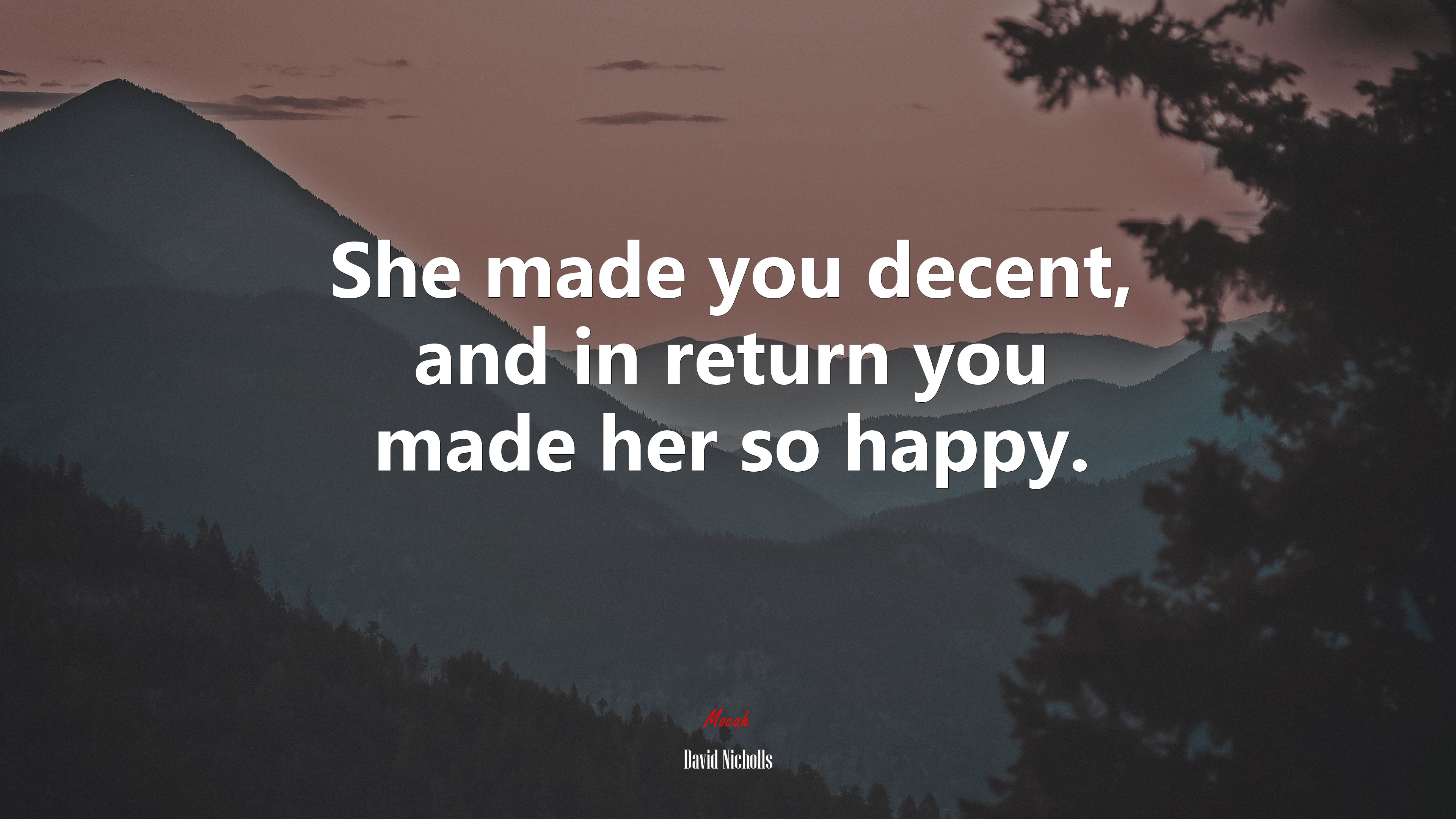 She made you decent, and in return you made her so happy. | David Nicholls quote HD Wallpaper