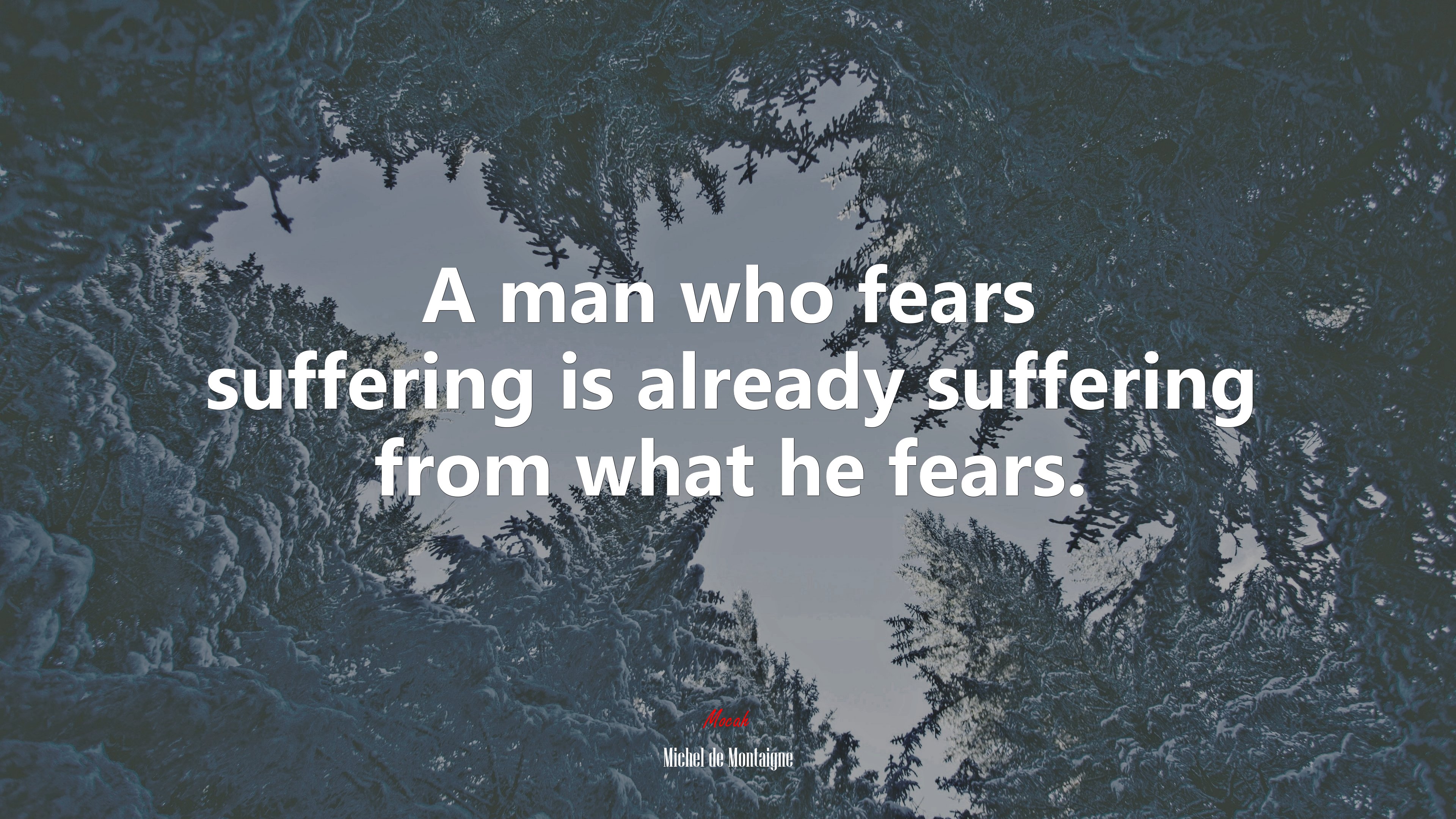 A man who fears suffering is already suffering from what he fears. | Michel de Montaigne quote HD Wallpaper
