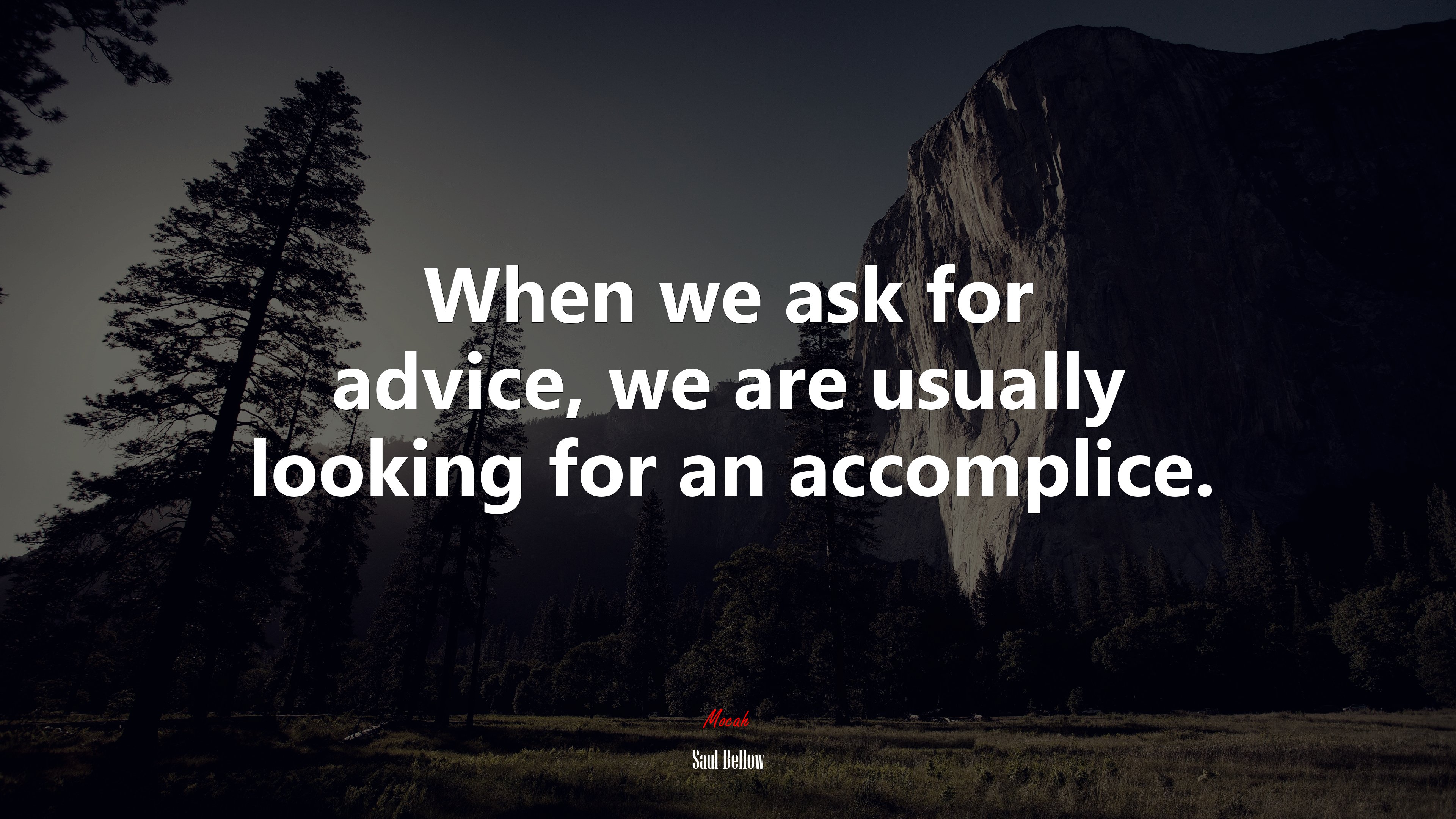 When we ask for advice, we are usually looking for an accomplice. | Saul Bellow quote HD Wallpaper