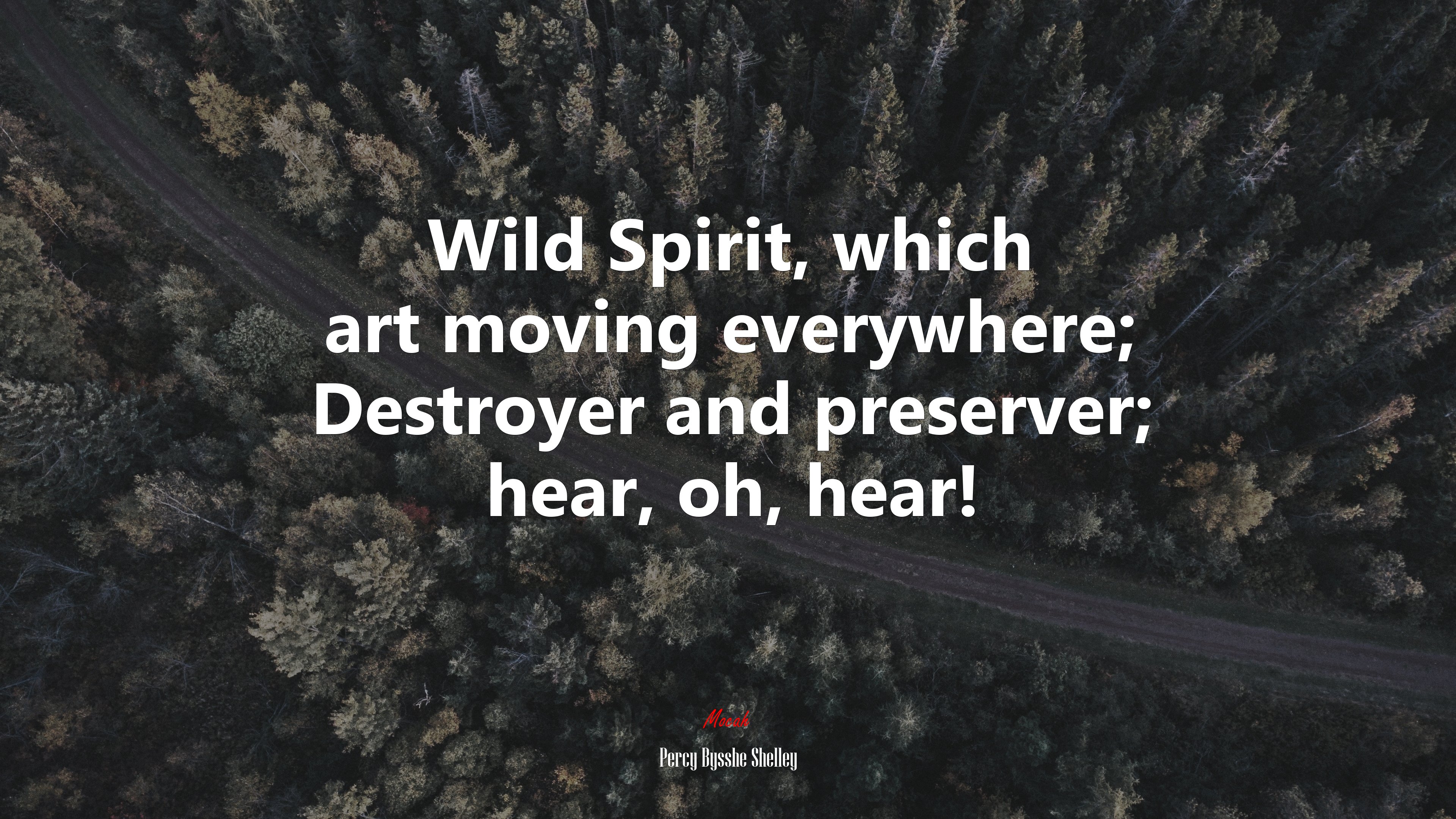 Wild Spirit, which art moving everywhere; Destroyer and preserver; hear, oh, hear! | Percy Bysshe Shelley quote HD Wallpaper