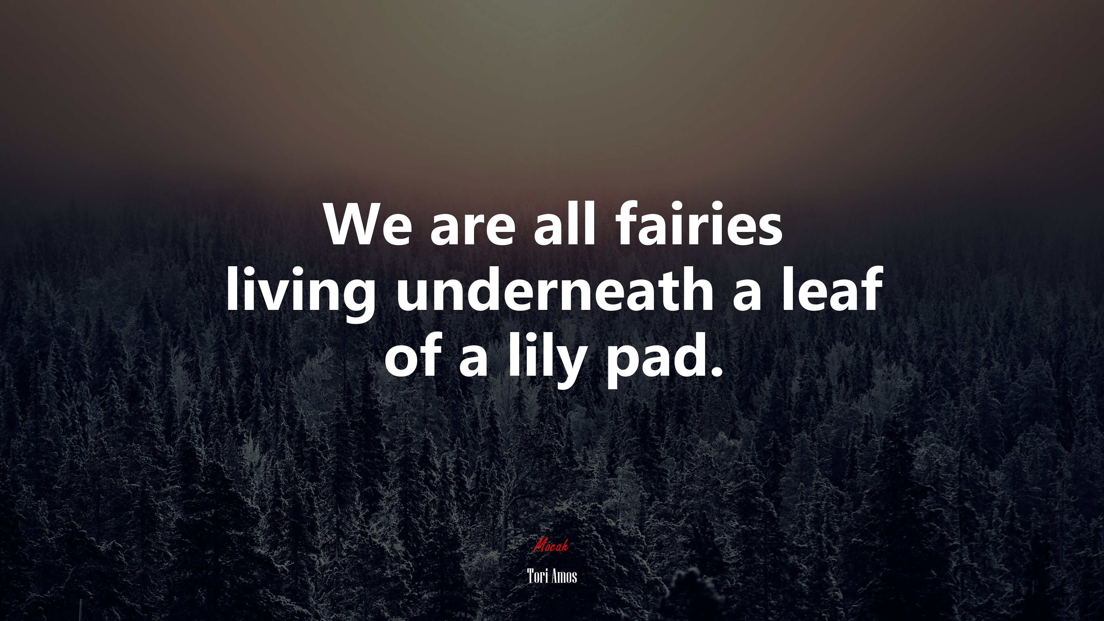 We are all fairies living underneath a leaf of a lily pad. | Tori Amos quote HD Wallpaper
