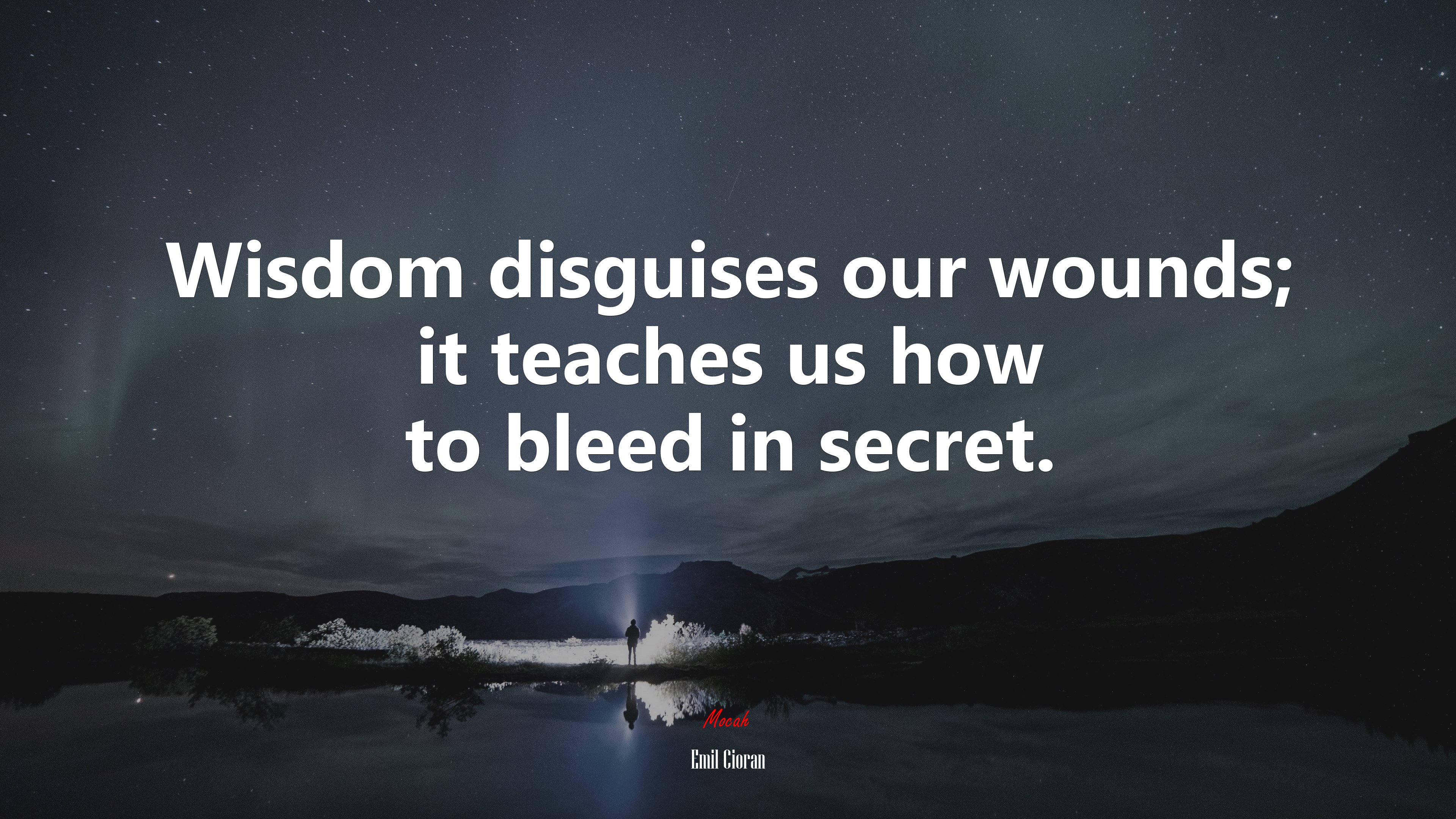 Wisdom disguises our wounds; it teaches us how to bleed in secret. | Emil Cioran quote HD Wallpaper