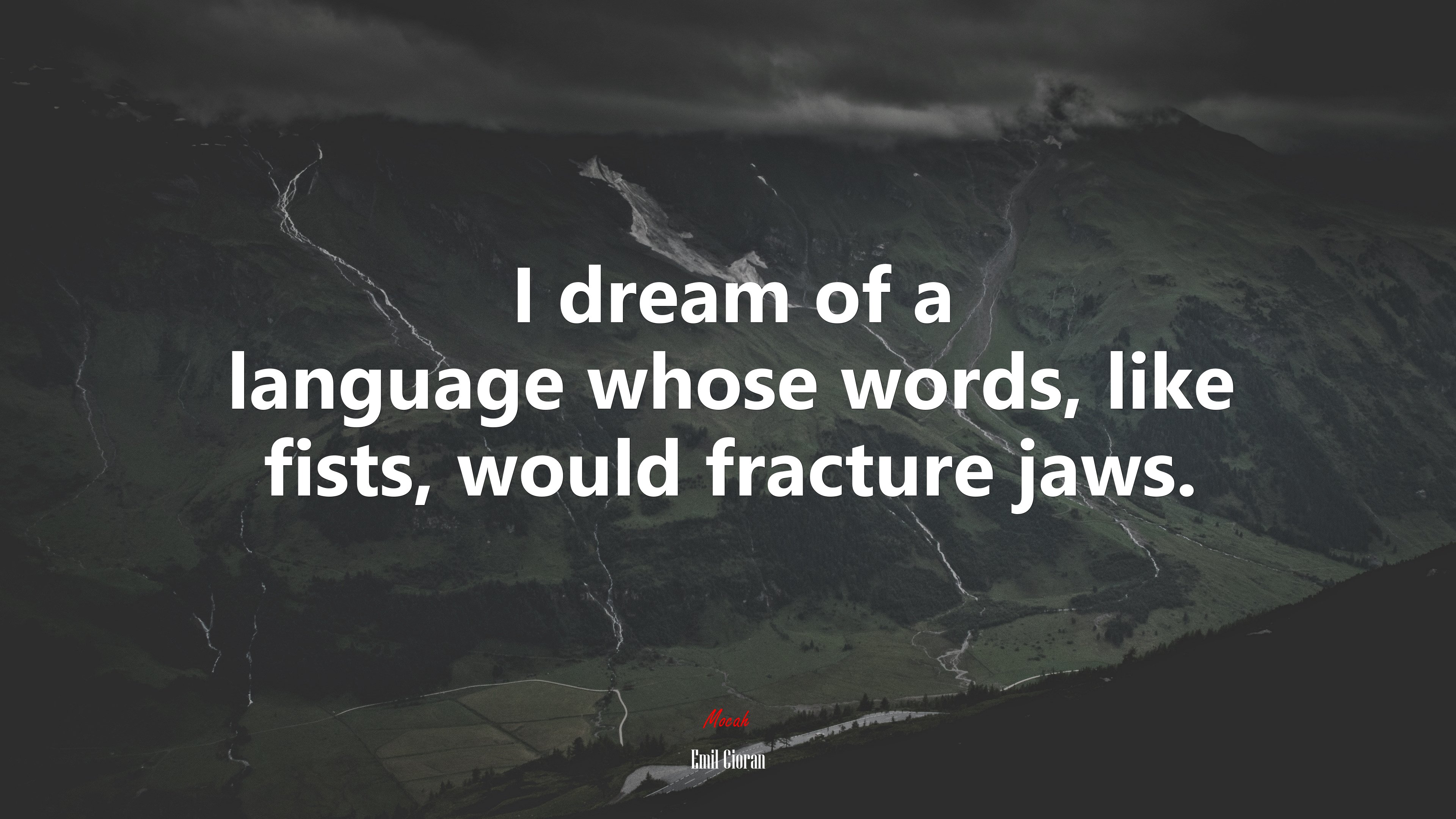 I dream of a language whose words, like fists, would fracture jaws. | Emil Cioran quote HD Wallpaper