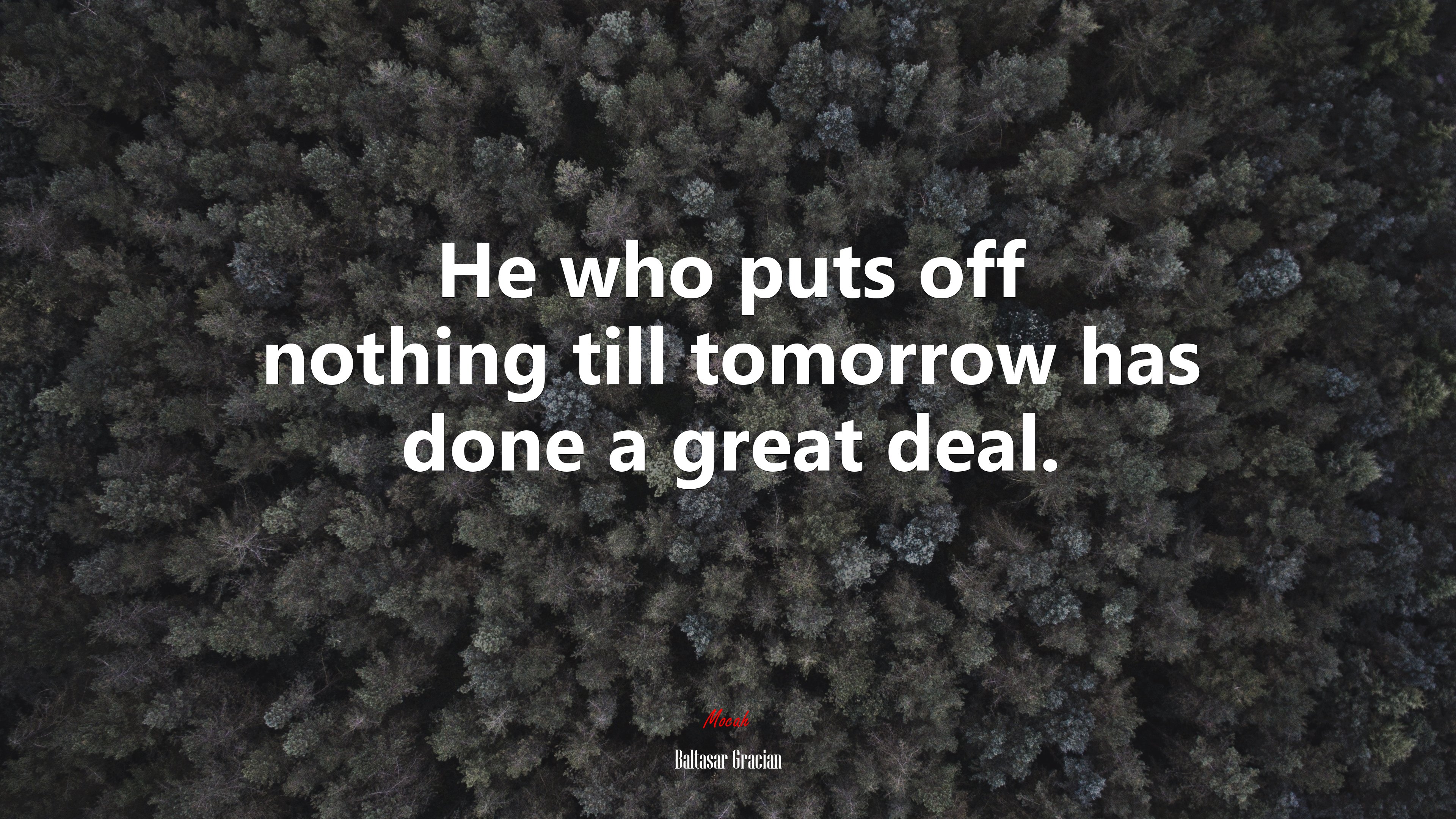 He who puts off nothing till tomorrow has done a great deal. | Baltasar Gracián quote HD Wallpaper