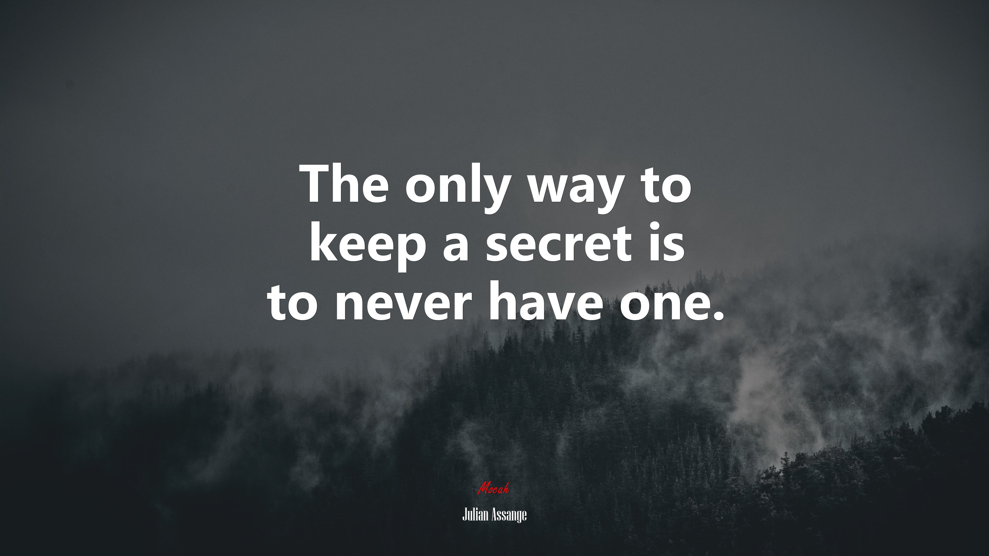 The only way to keep a secret is to never have one. | Julian Assange quote HD Wallpaper
