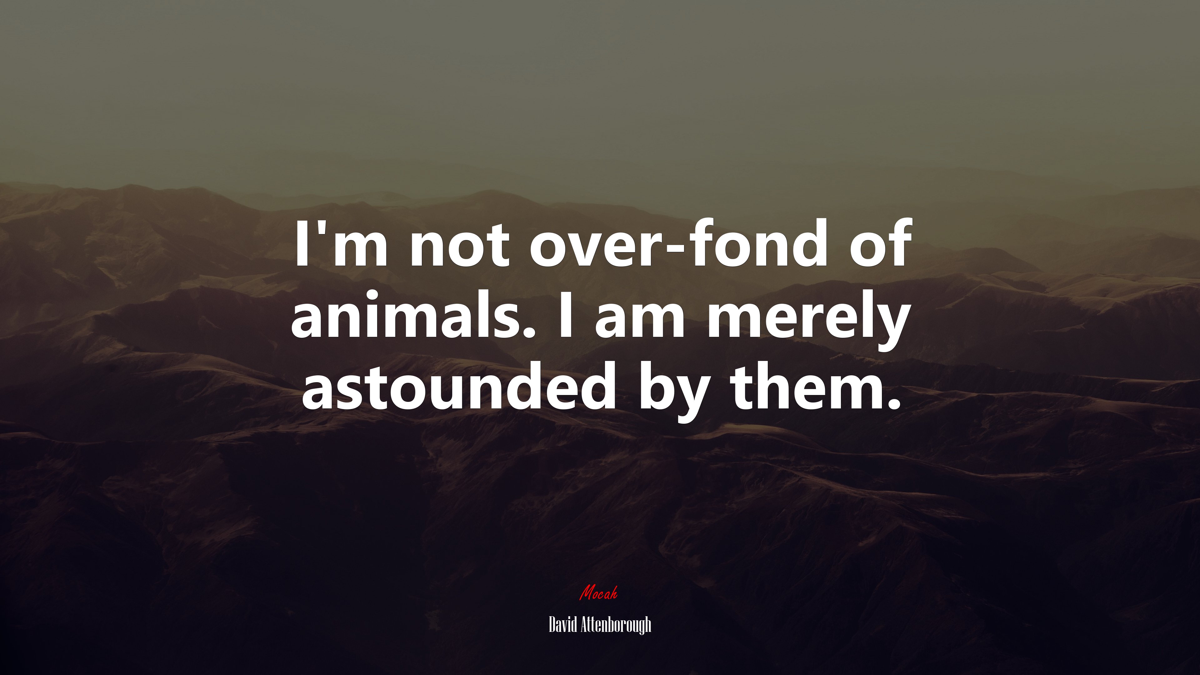 I’m not over-fond of animals. I am merely astounded by them. | David Attenborough quote HD Wallpaper