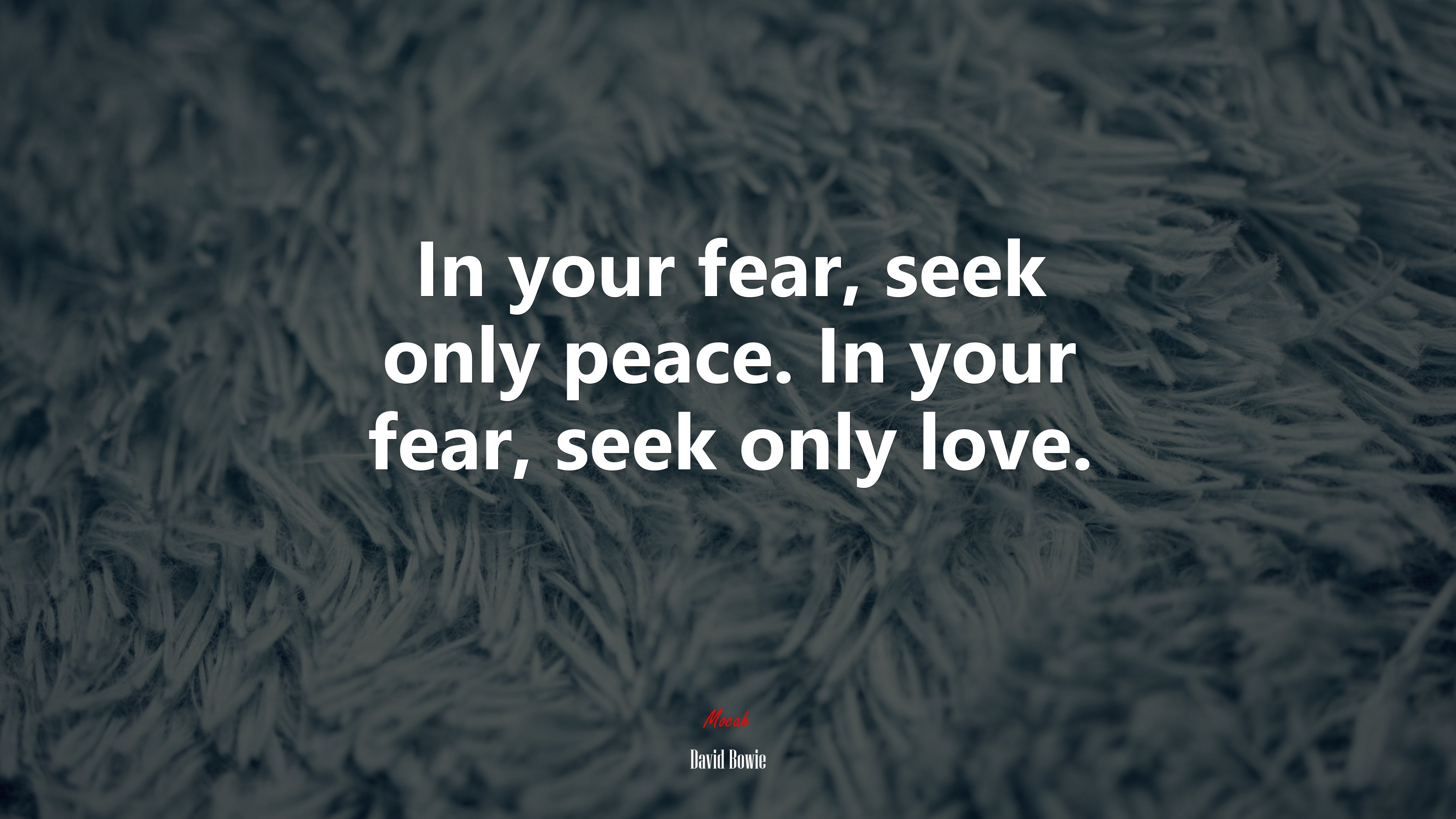 In your fear, seek only peace. In your fear, seek only love. | David Bowie quote HD Wallpaper