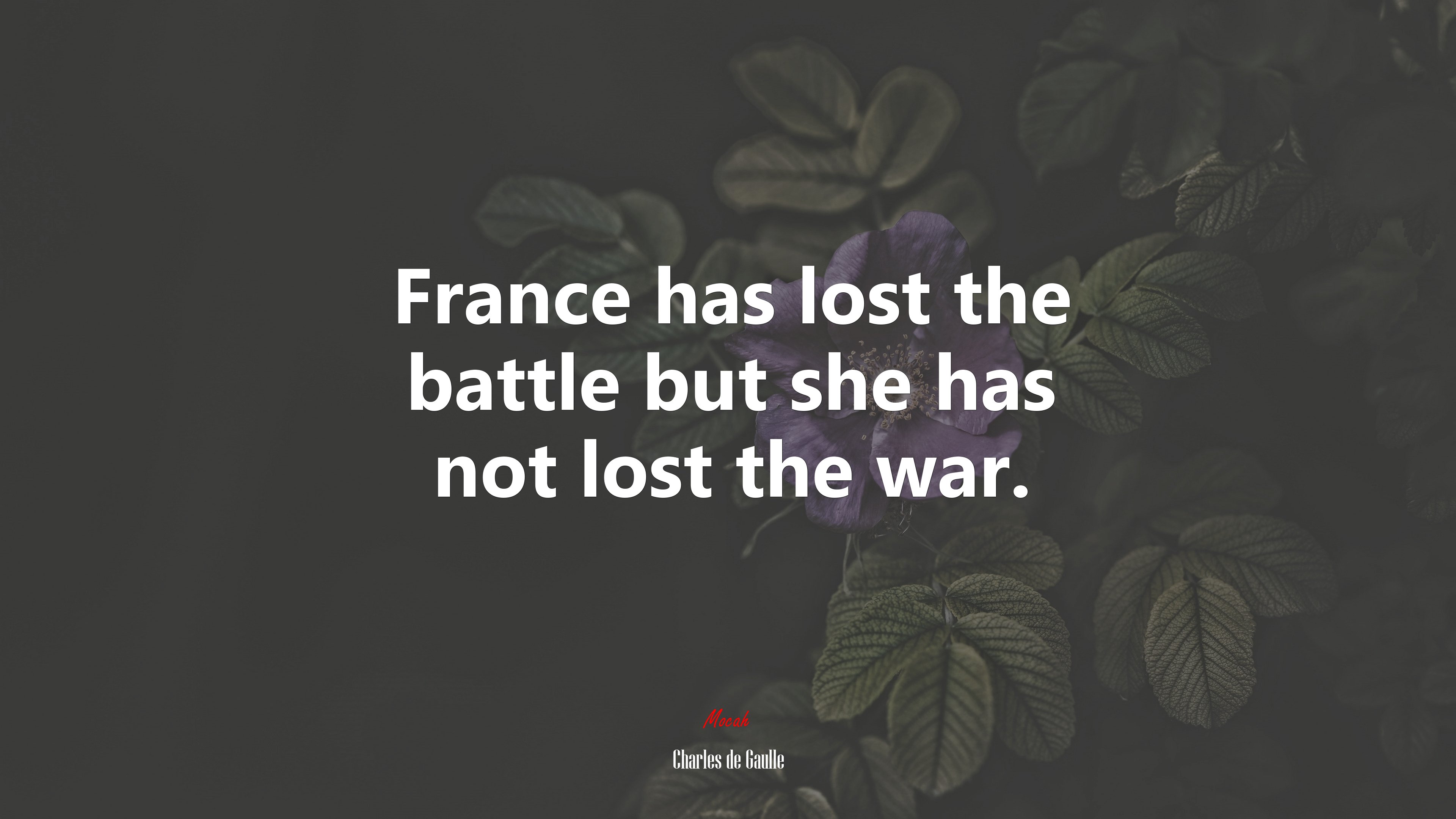 France has lost the battle but she has not lost the war. | Charles de Gaulle quote HD Wallpaper
