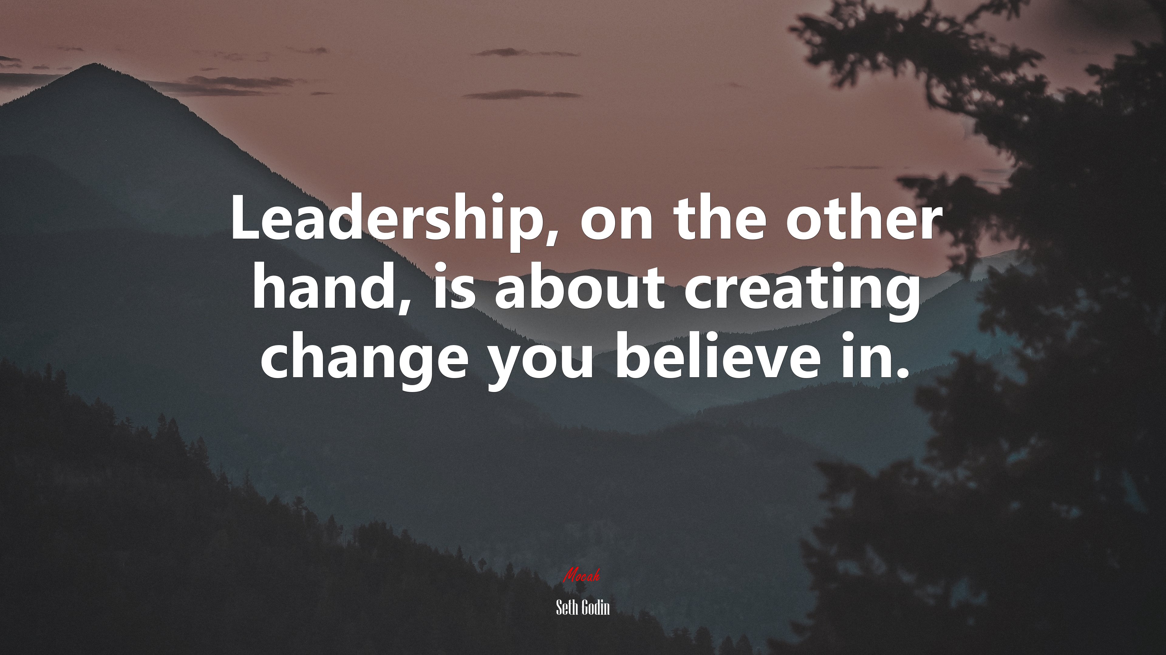 Leadership, on the other hand, is about creating change you believe in. | Seth Godin quote HD Wallpaper