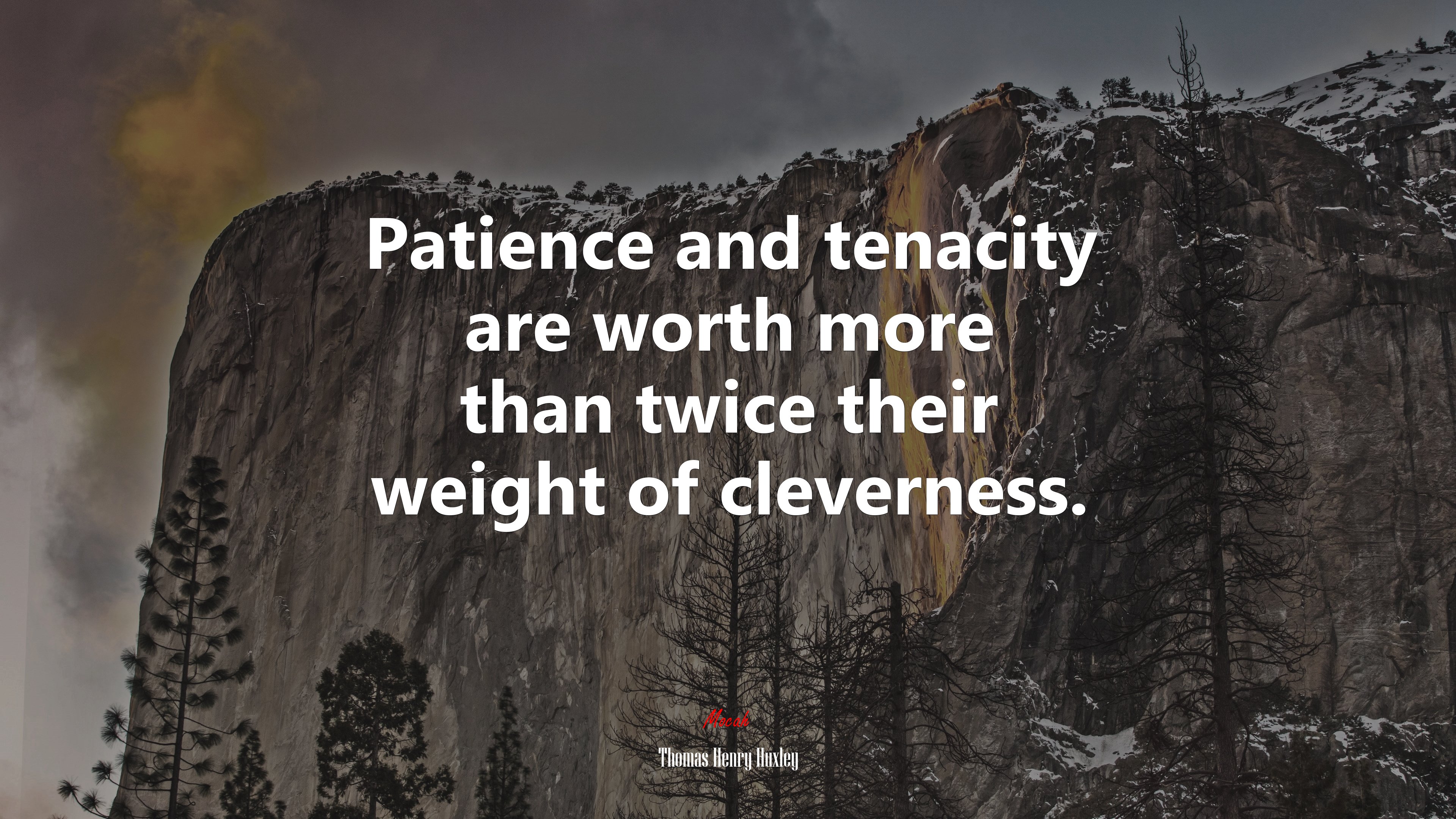 Patience and tenacity are worth more than twice their weight of cleverness. | Thomas Henry Huxley quote HD Wallpaper