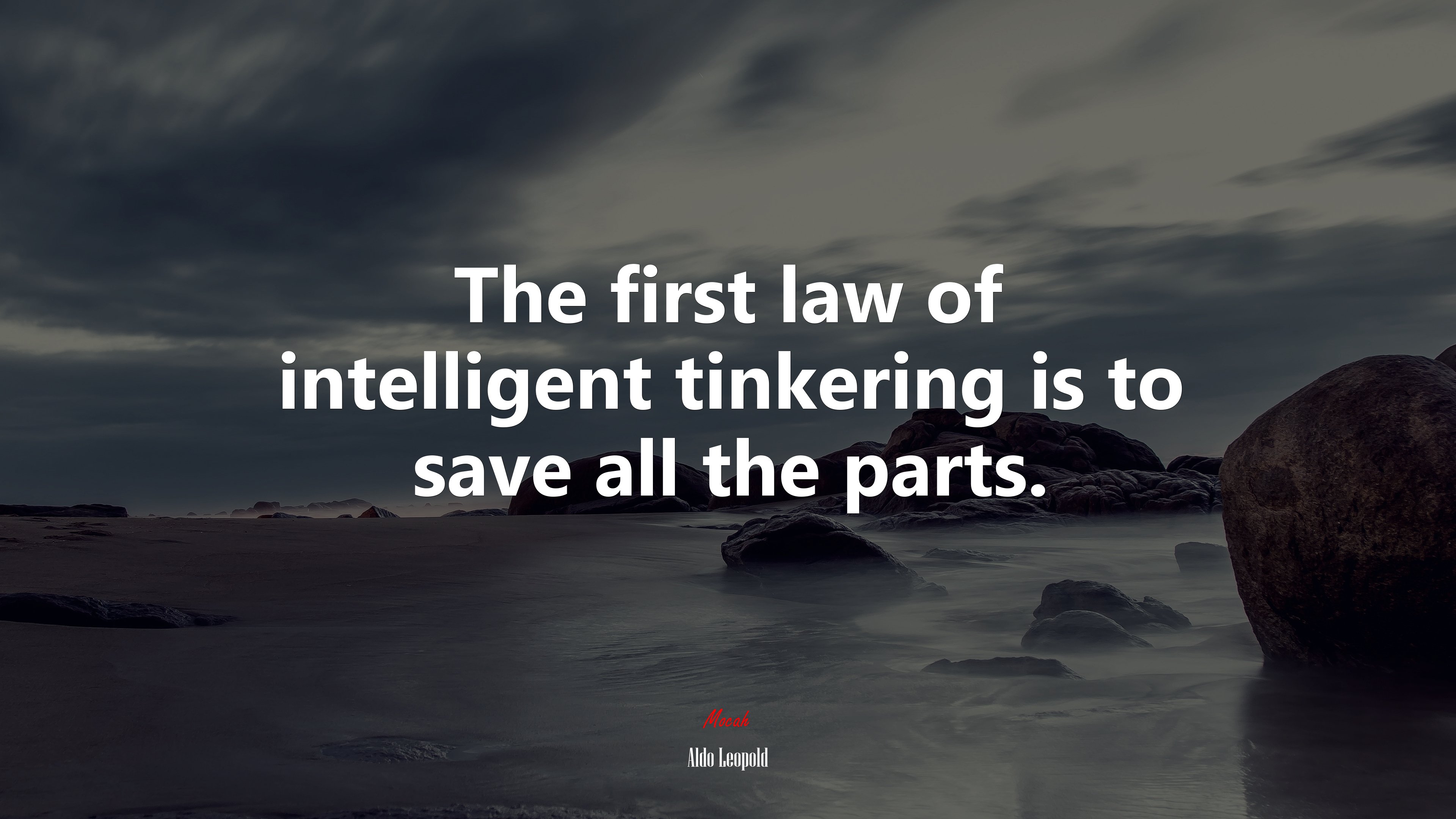 The first law of intelligent tinkering is to save all the parts. | Aldo Leopold quote HD Wallpaper