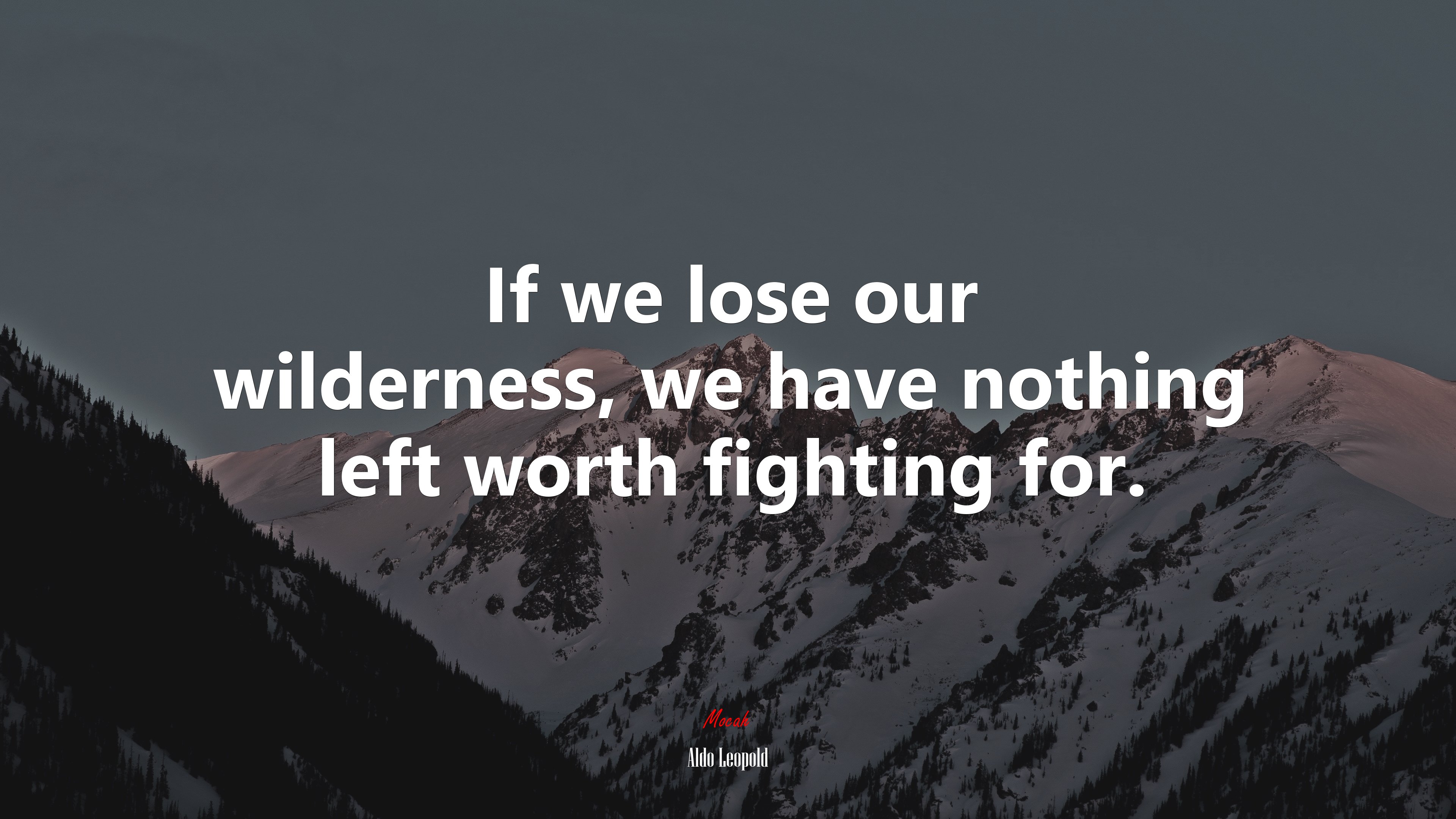 If we lose our wilderness, we have nothing left worth fighting for. | Aldo Leopold quote HD Wallpaper