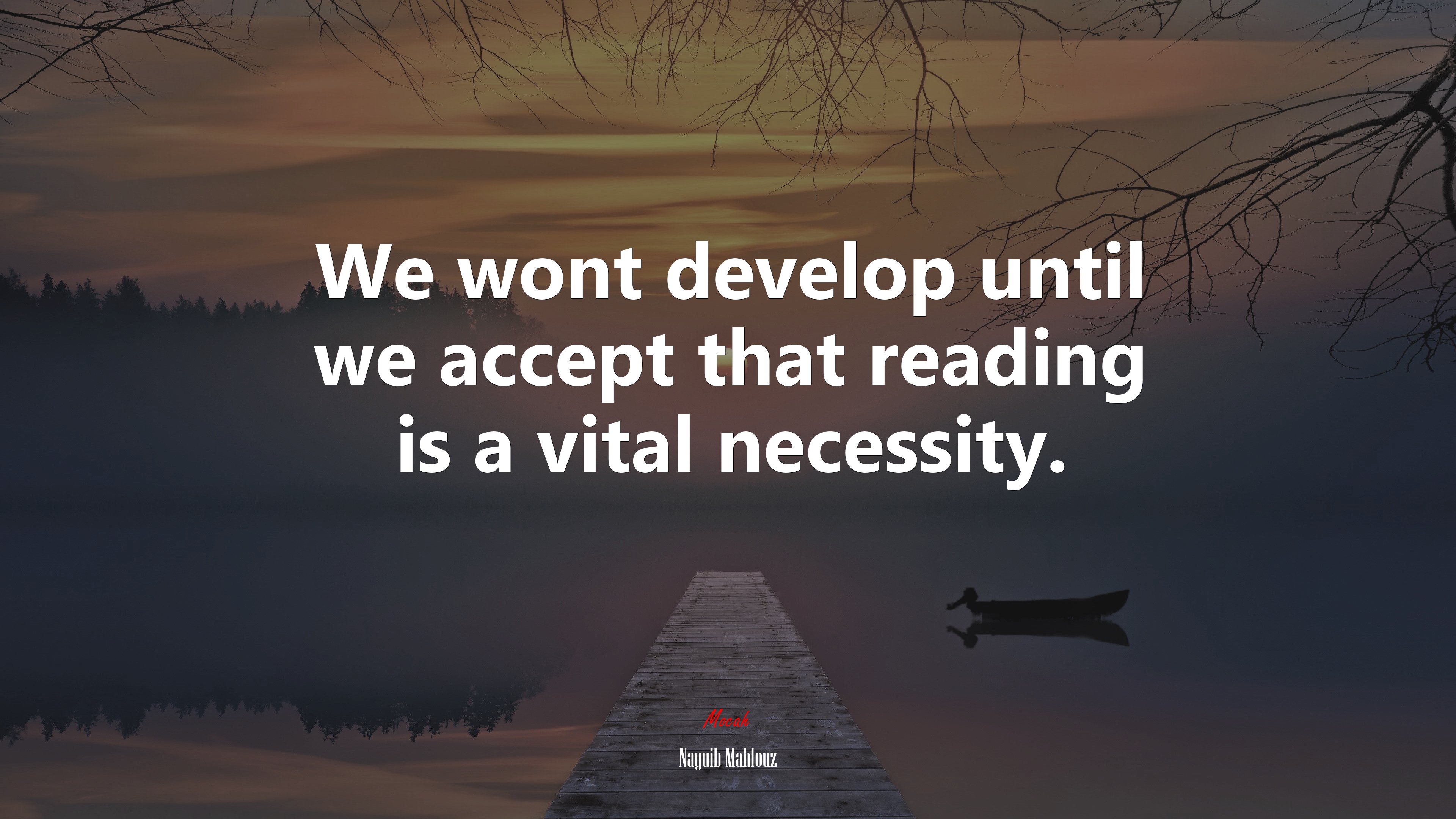 We wont develop until we accept that reading is a vital necessity. | Naguib Mahfouz quote HD Wallpaper