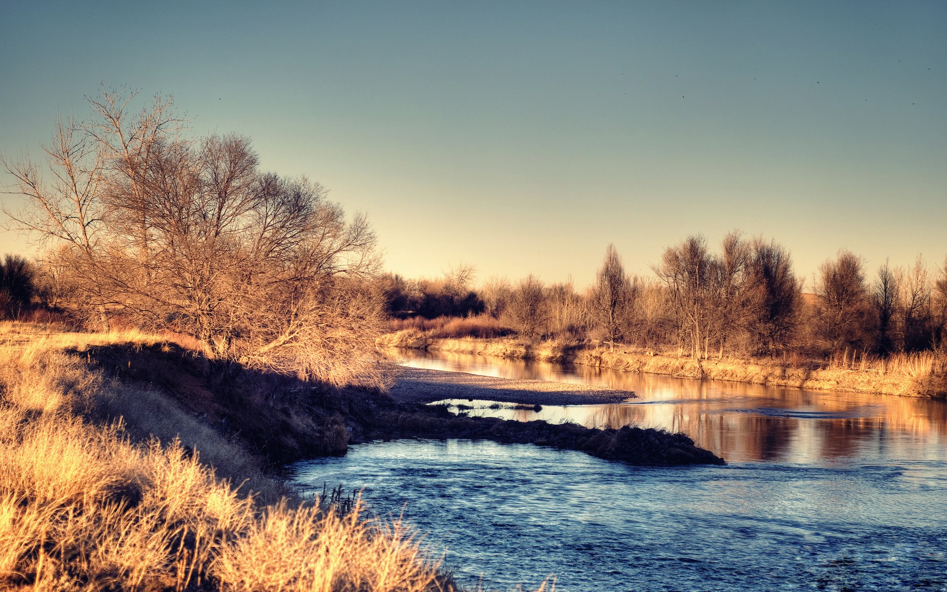 River flowing through a landscape with bare trees HD Wallpaper