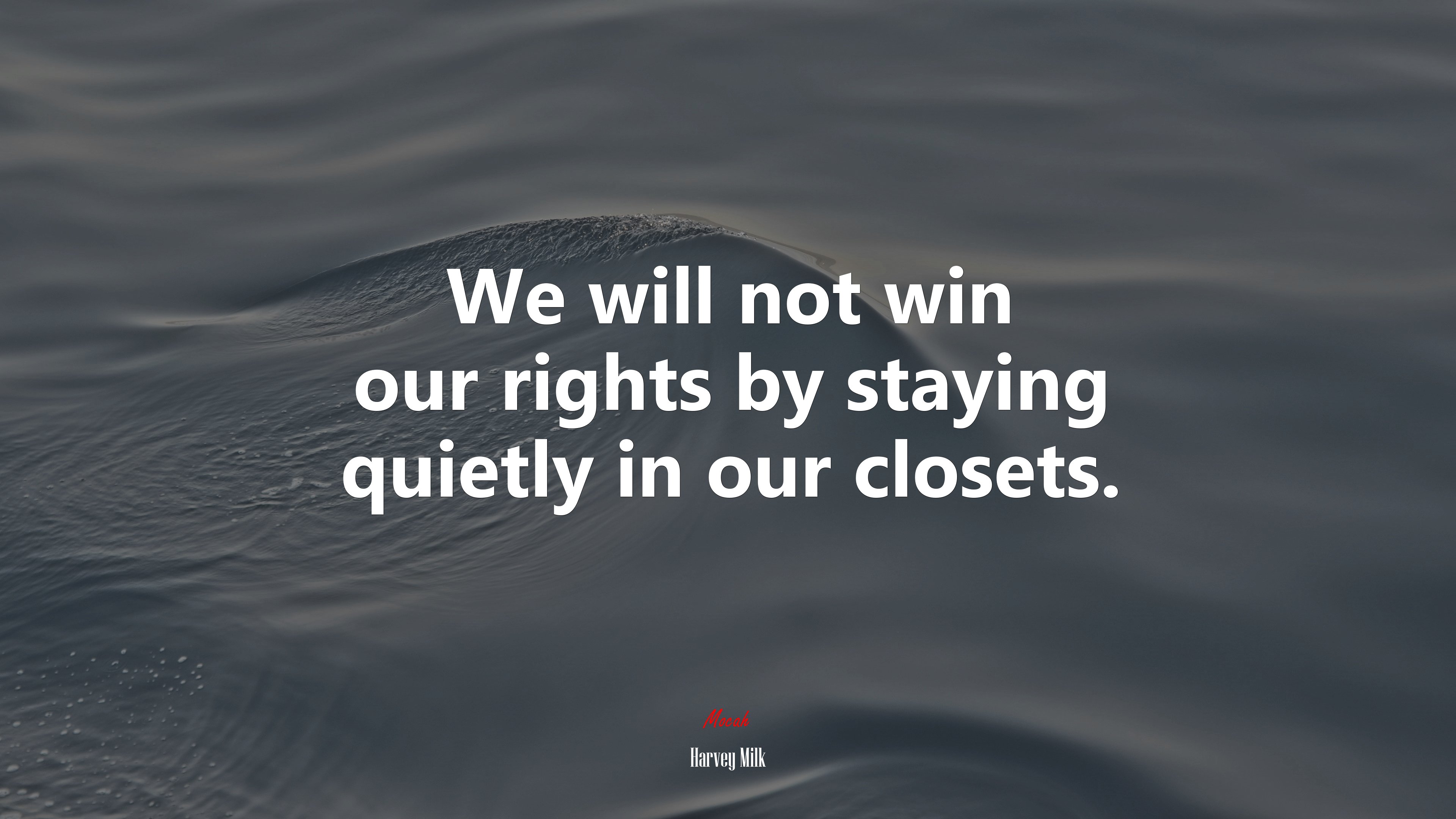 We will not win our rights by staying quietly in our closets. | Harvey Milk quote HD Wallpaper