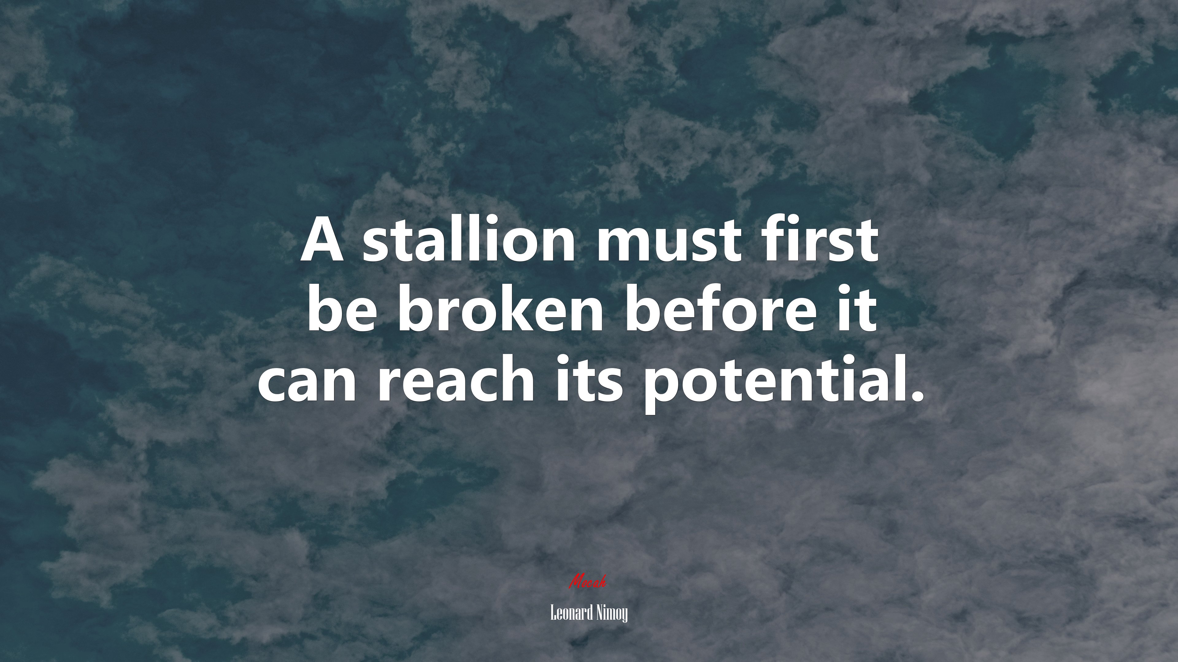 A stallion must first be broken before it can reach its potential. | Leonard Nimoy quote HD Wallpaper