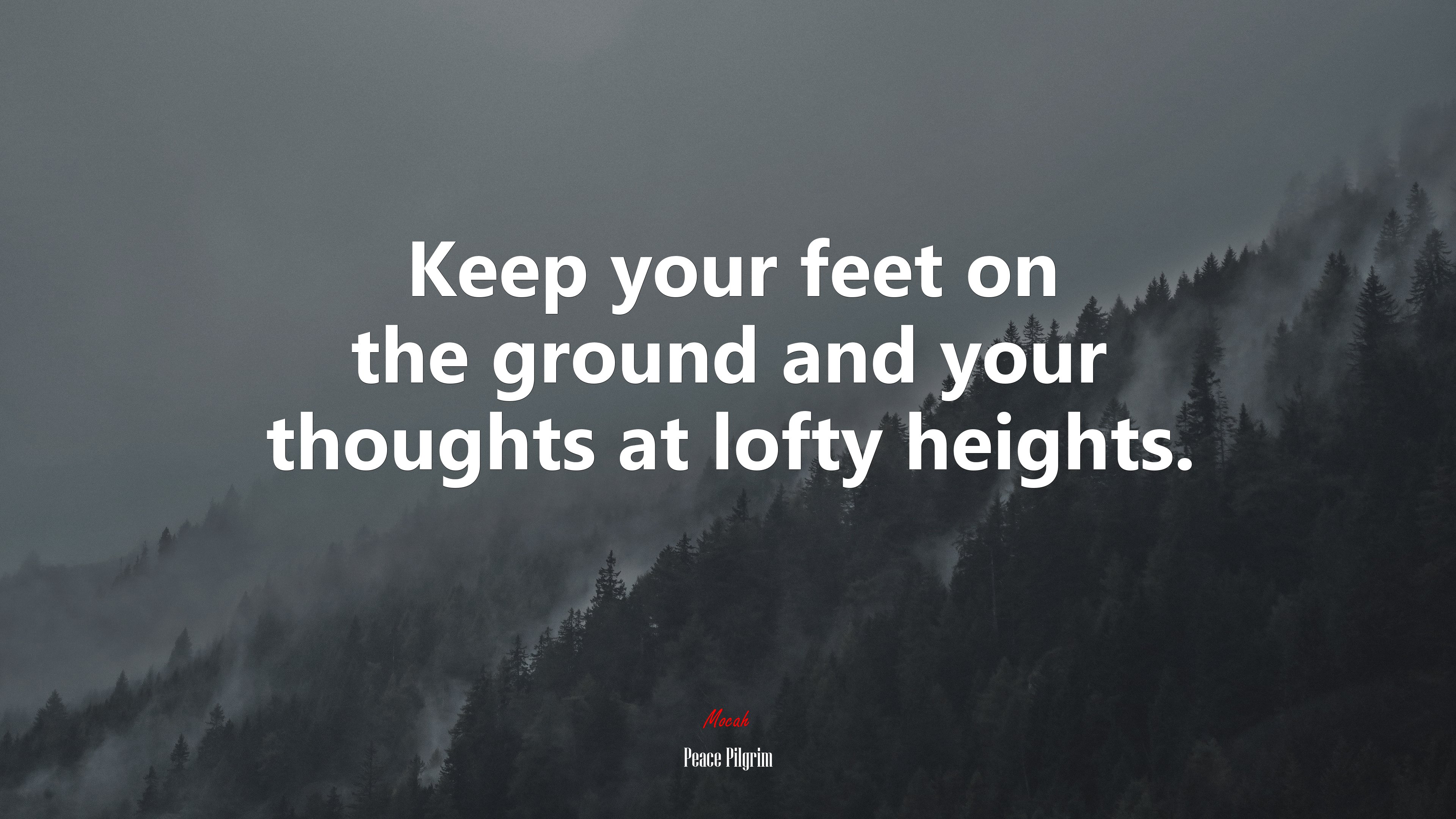 Keep your feet on the ground and your thoughts at lofty heights. | Peace Pilgrim quote HD Wallpaper