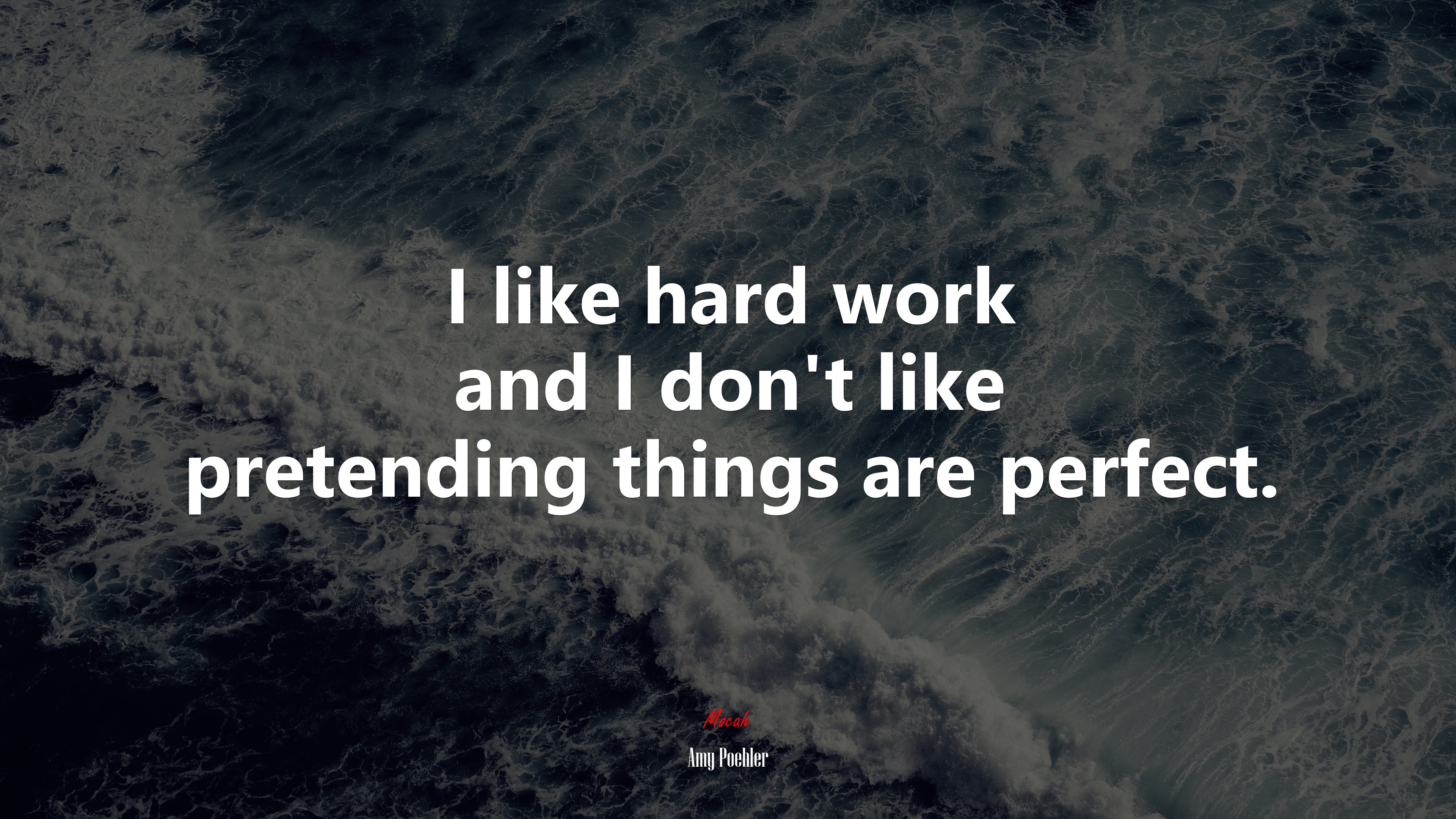 I like hard work and I don’t like pretending things are perfect. | Amy Poehler quote HD Wallpaper