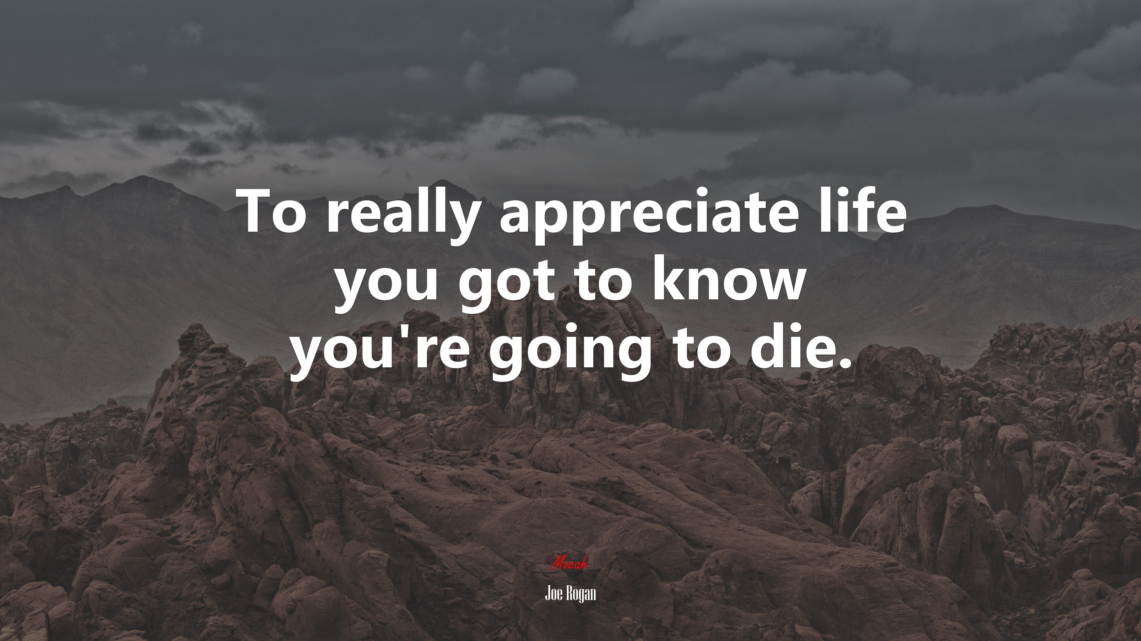 To really appreciate life you got to know you’re going to die. | Joe Rogan quote HD Wallpaper